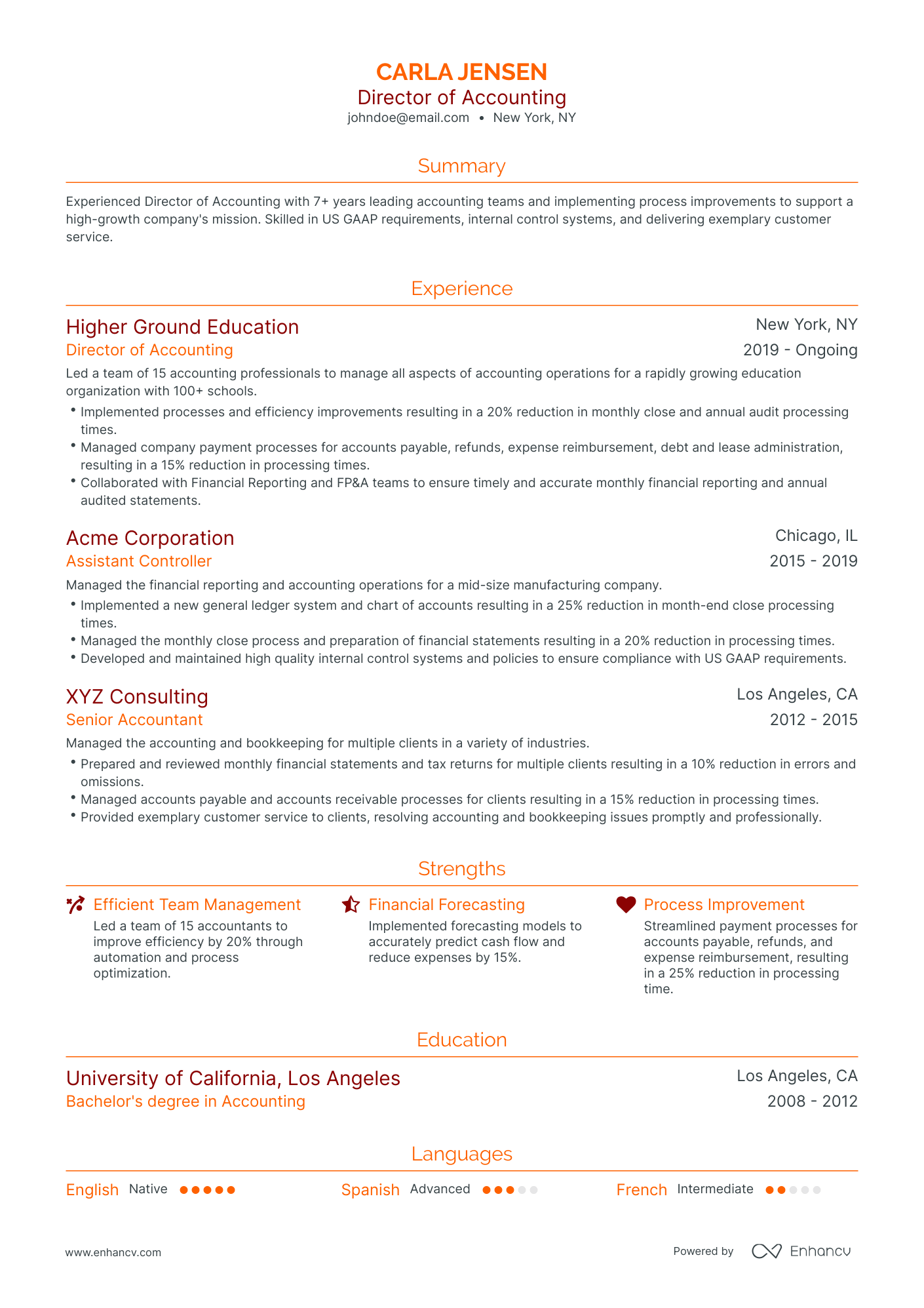 Traditional Director Of Accounting Resume Template