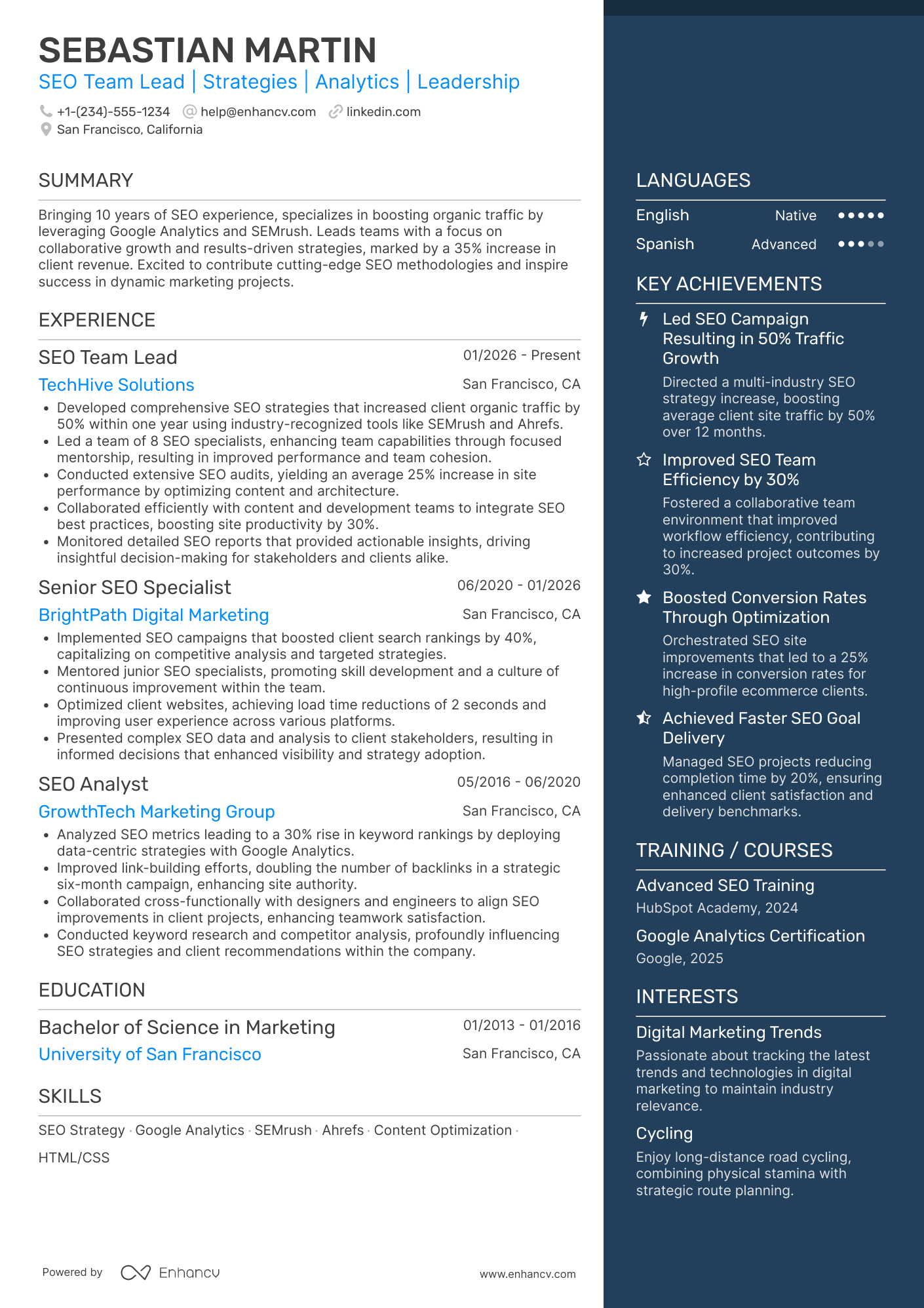 A resume example of a SEO Team Lead