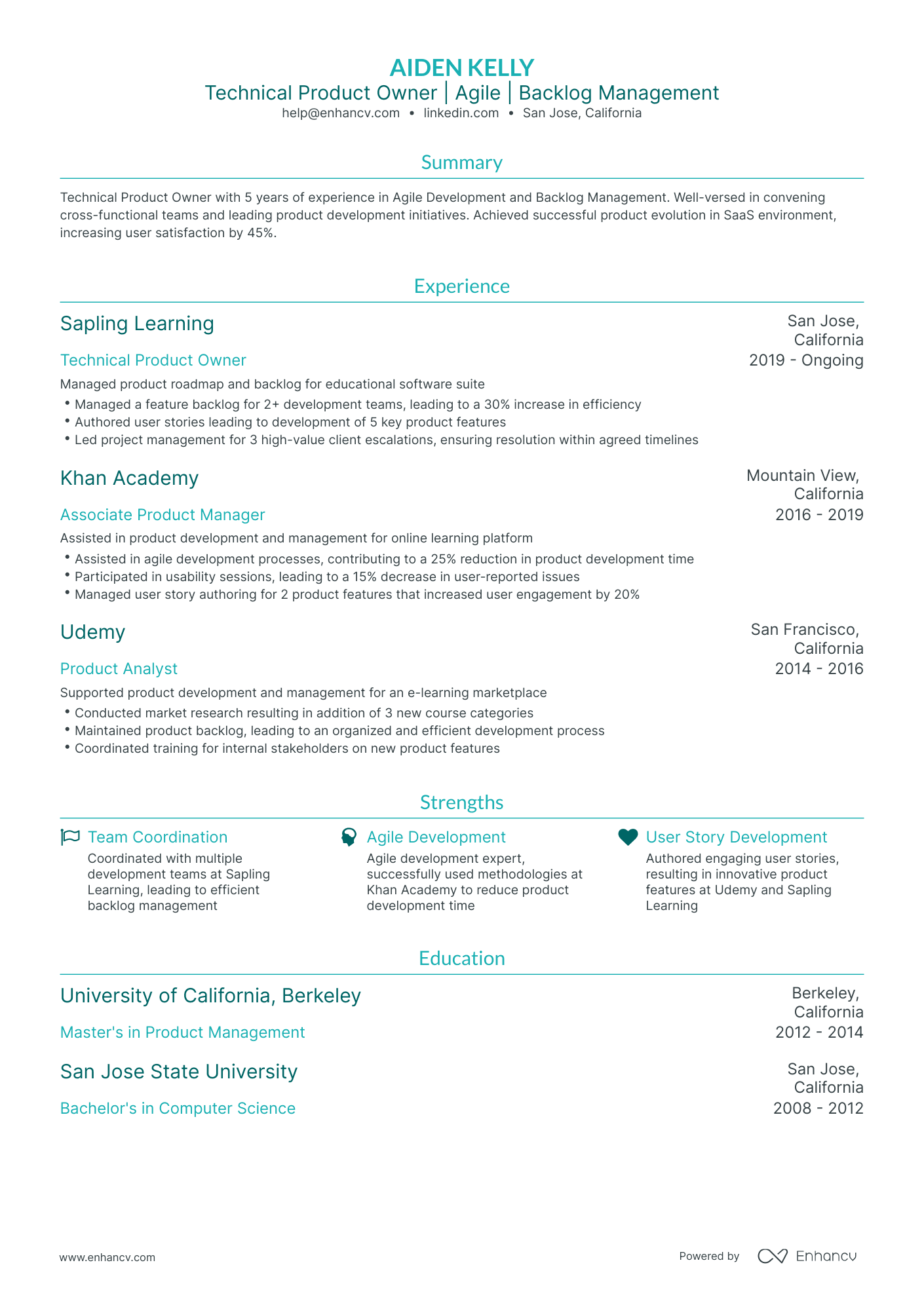 undefined Technical Product Owner Resume Template