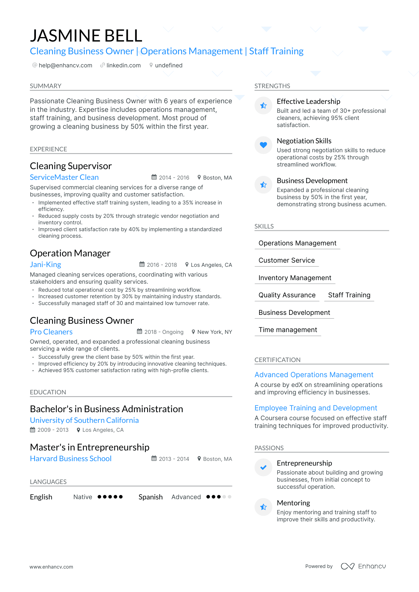 undefined Cleaning Business Owner Resume Template