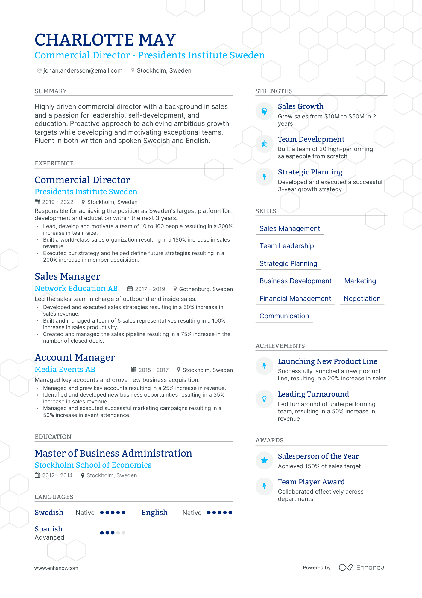 Modern Commercial Director Resume Template