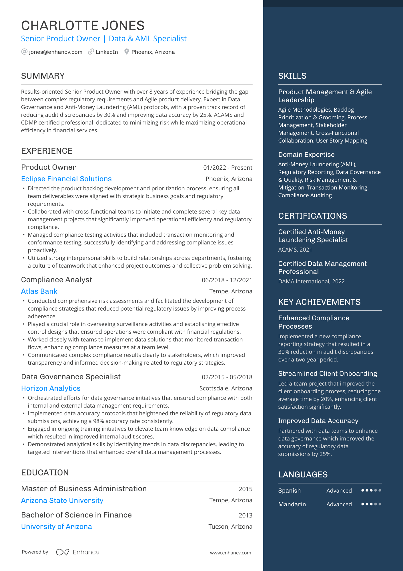 A resume example of a Senior Product Owner