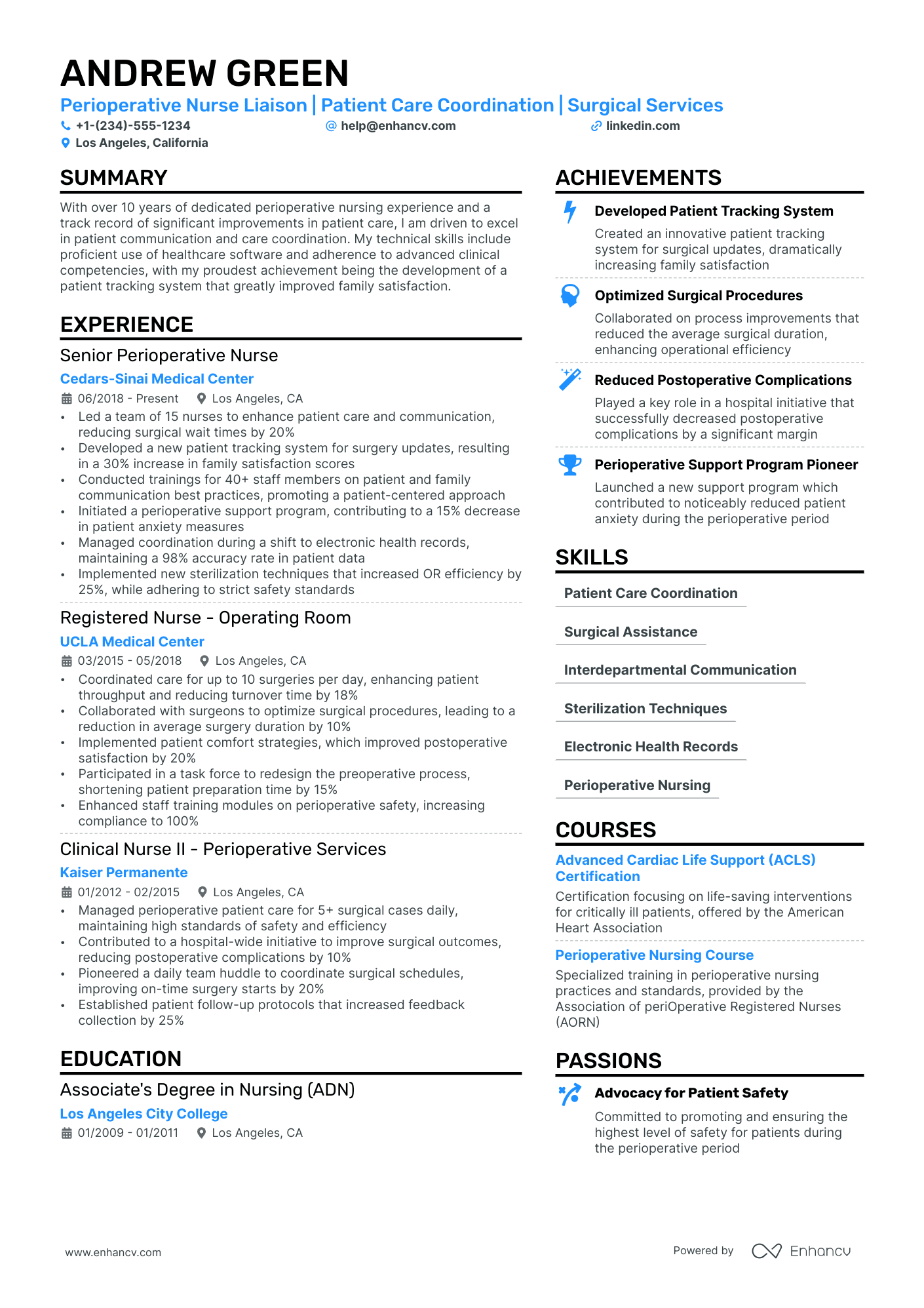 nursing professional resume