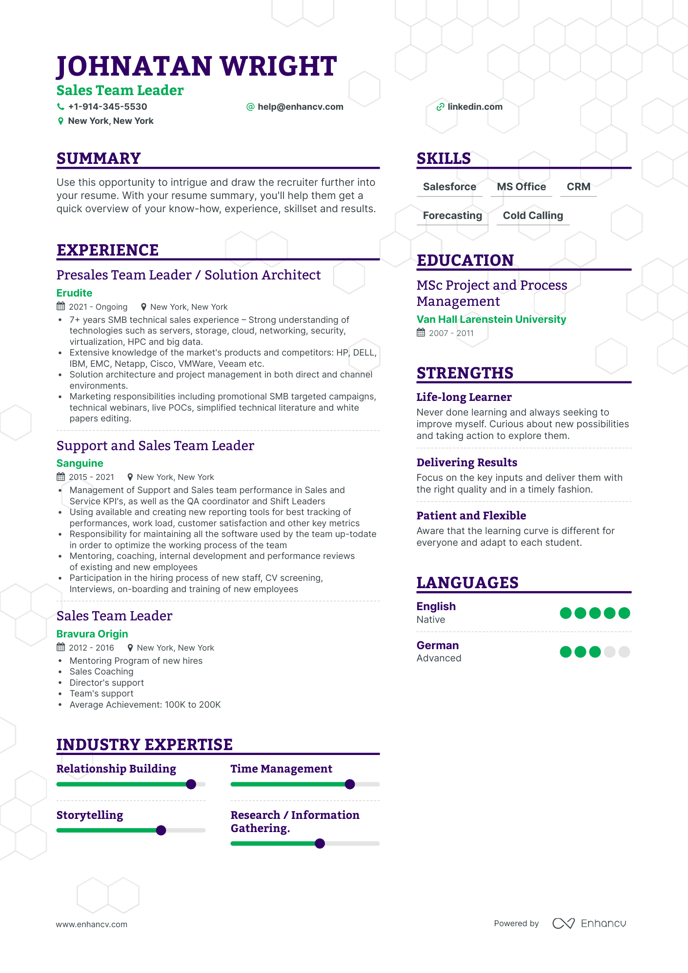 Sales Team Leader Resume Examples & Guide for 2023 (Layout, Skills ...