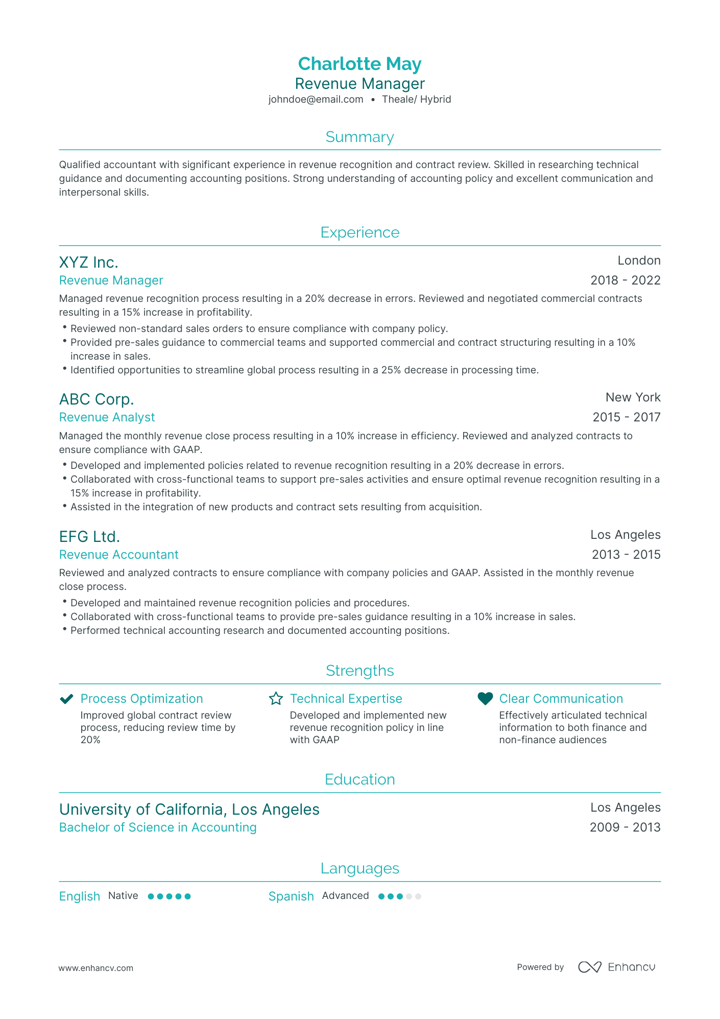 Traditional Revenue Manager Resume Template