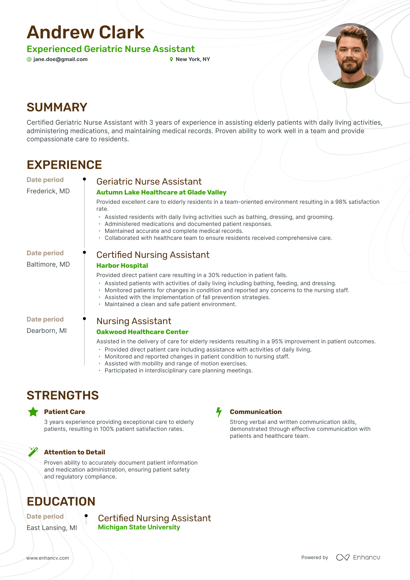 Timeline Assistant Nurse Resume Template