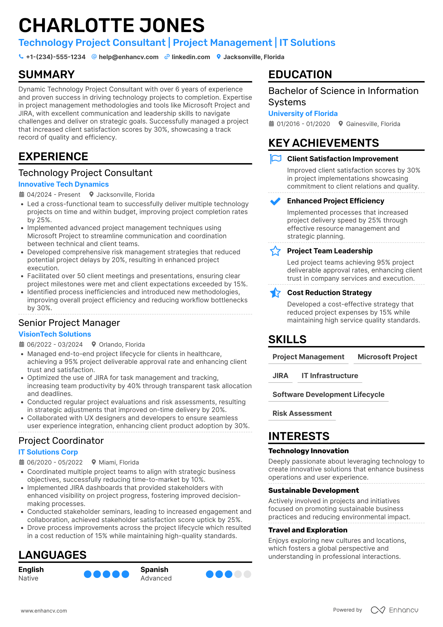 A resume example of a Technology Project Consultant