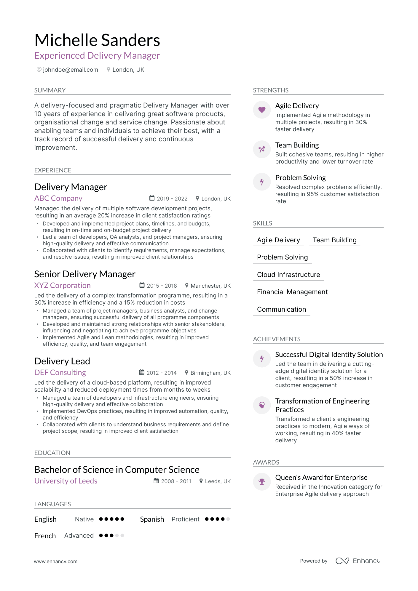 Modern Delivery Manager Resume Template