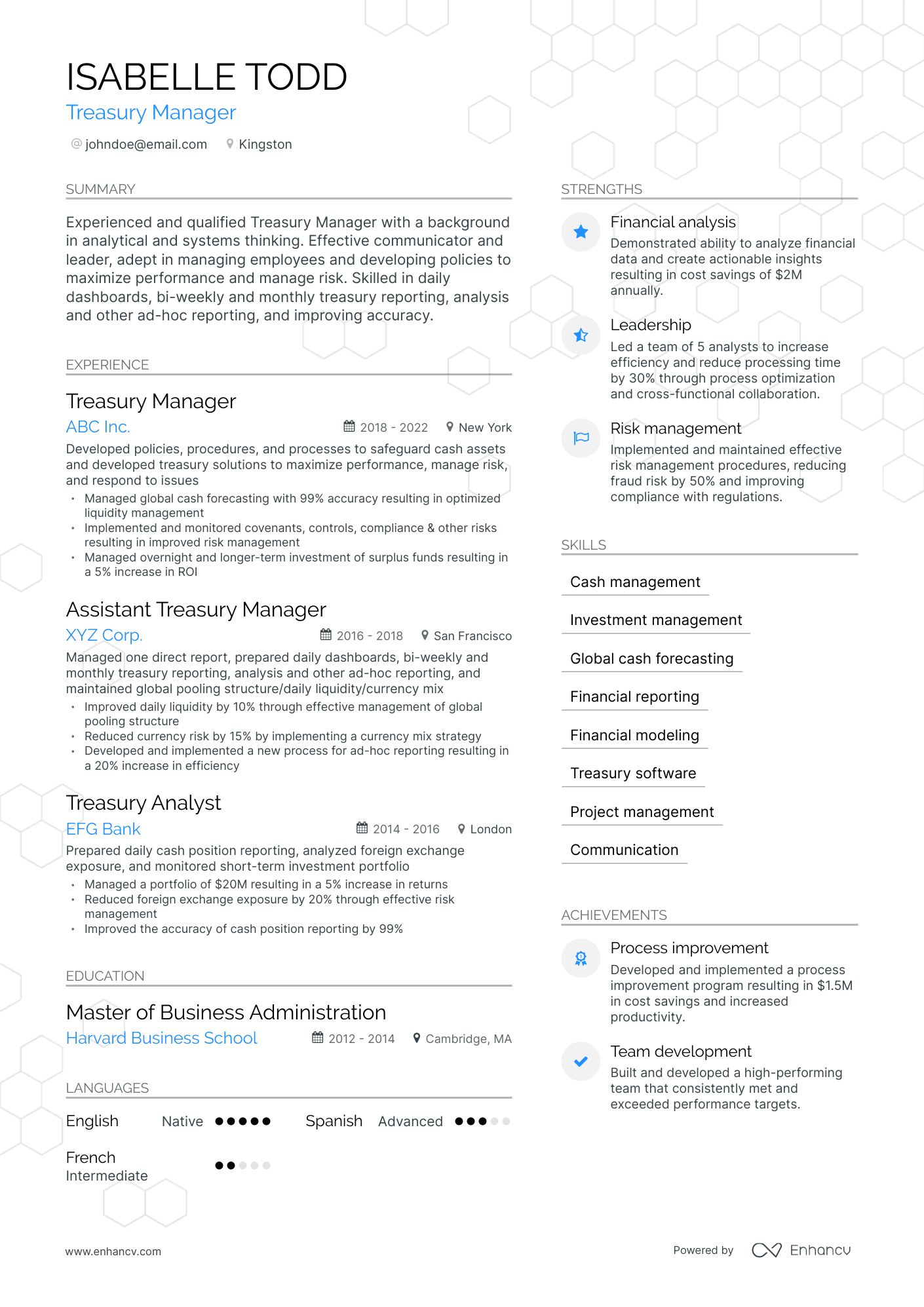 Modern Treasury Manager Resume Template