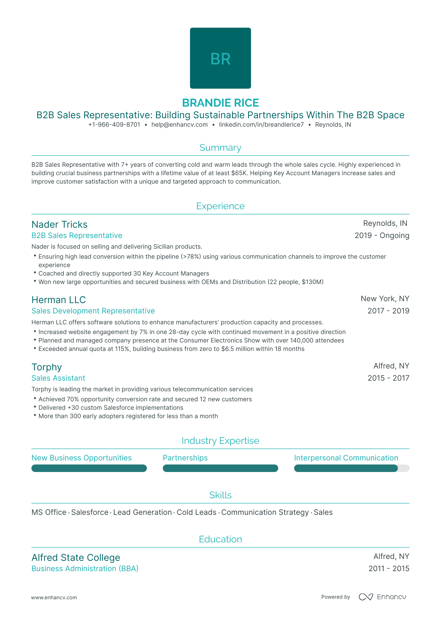 Traditional B2B Sales Resume Template