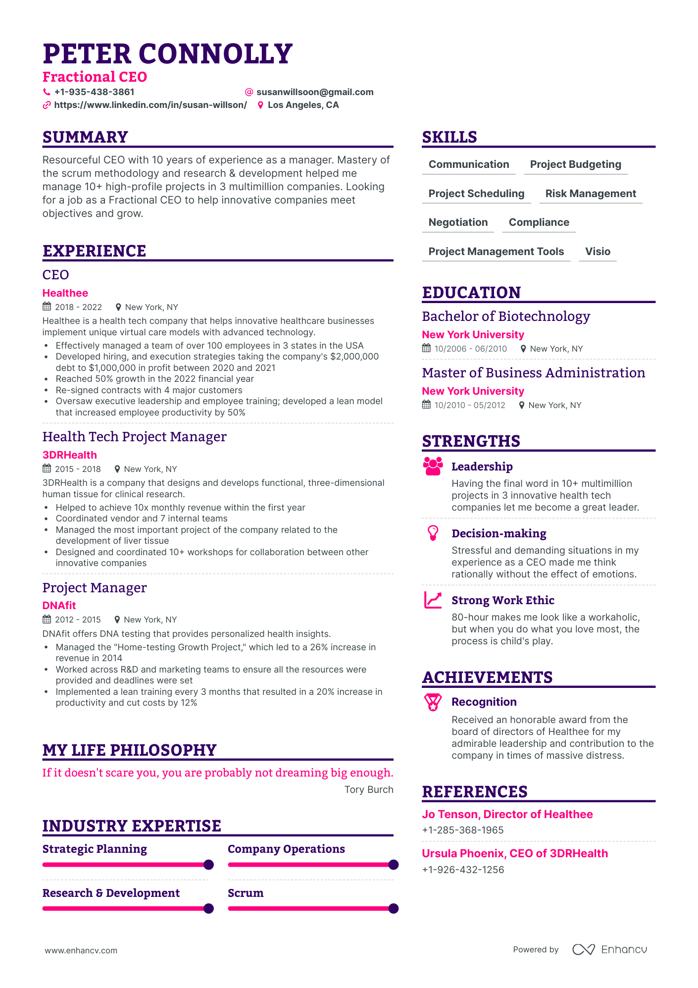 Simple Fractional CEO Resume Template