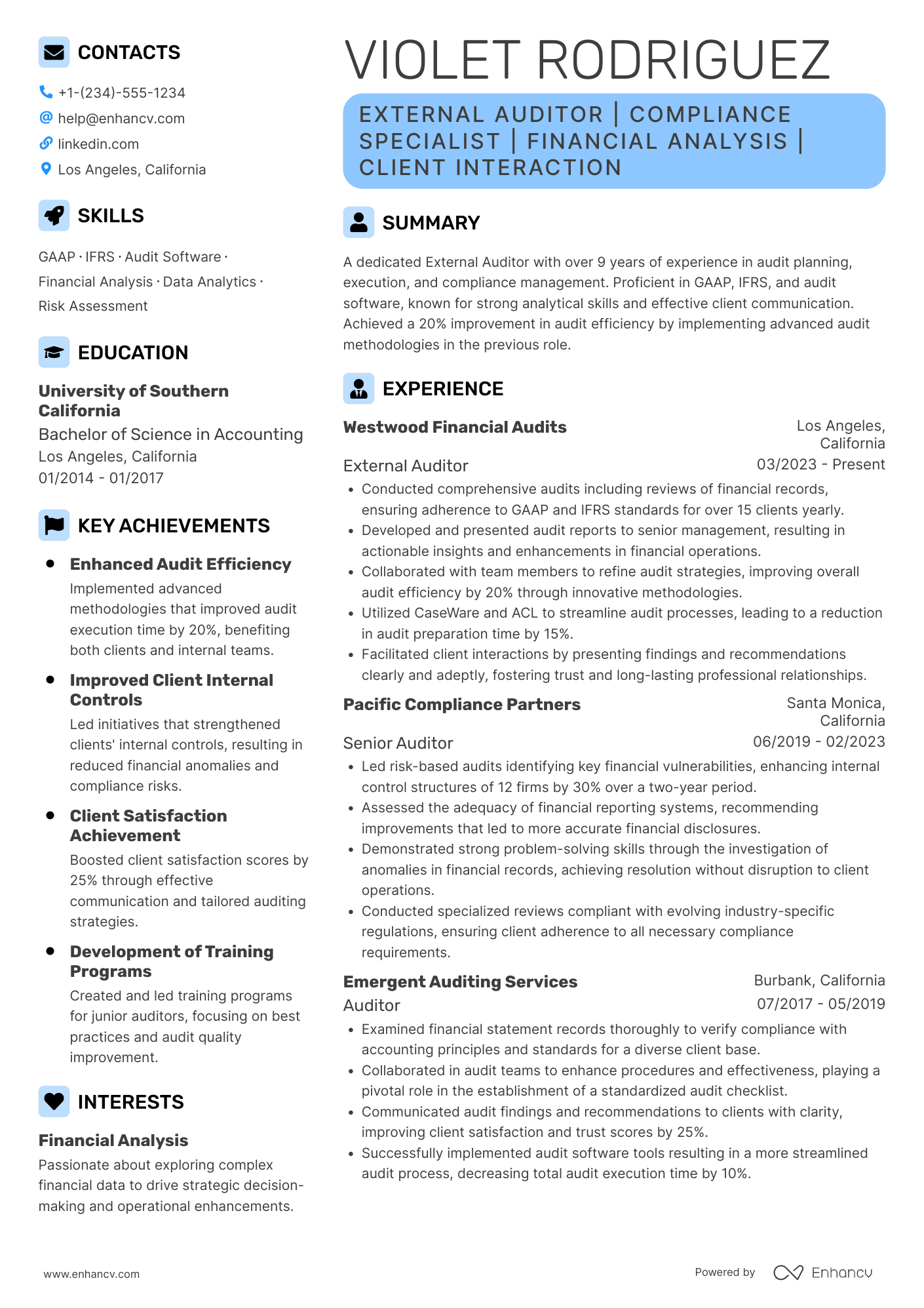 A resume example of a External Auditor