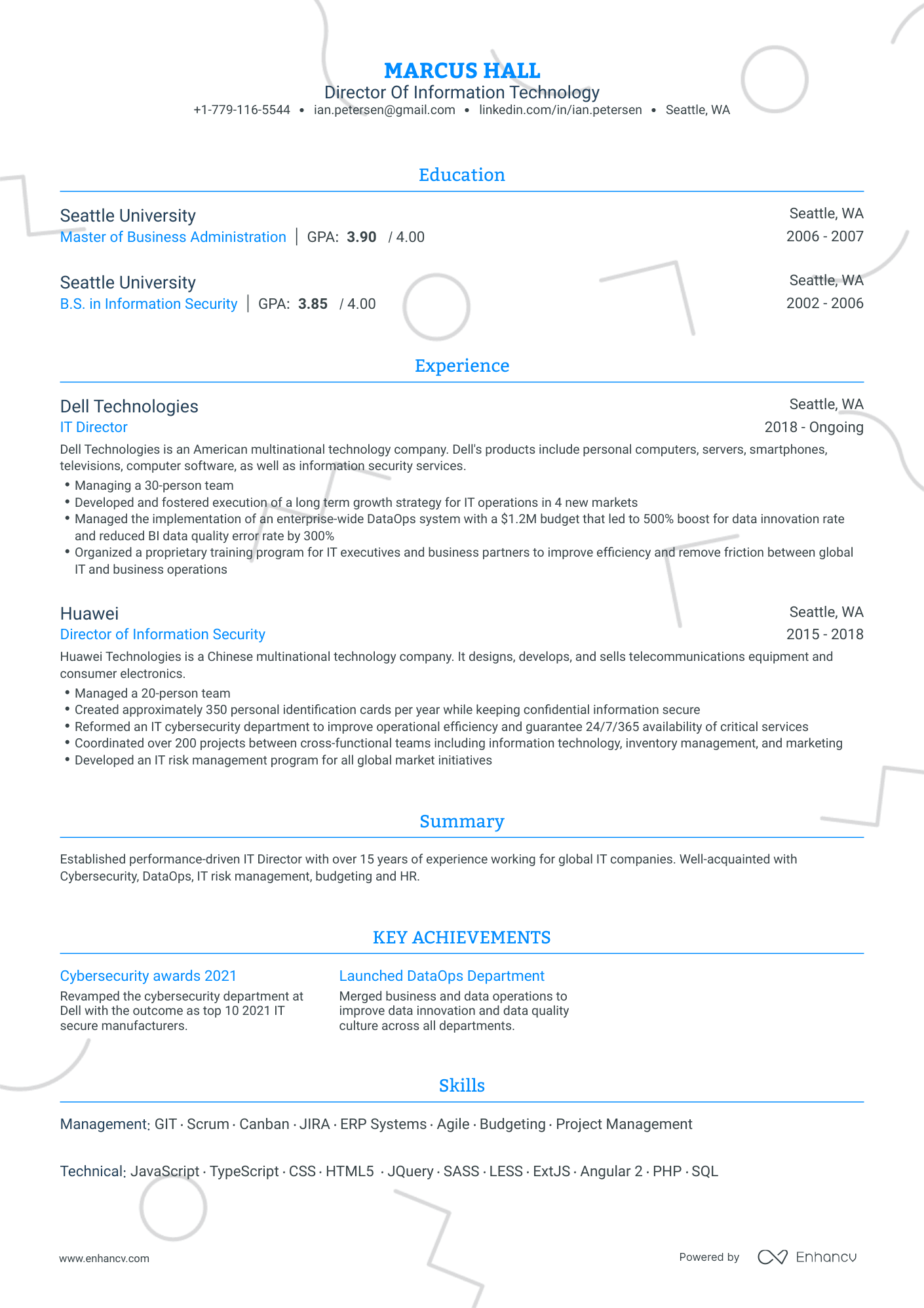 Traditional IT Director Resume Template