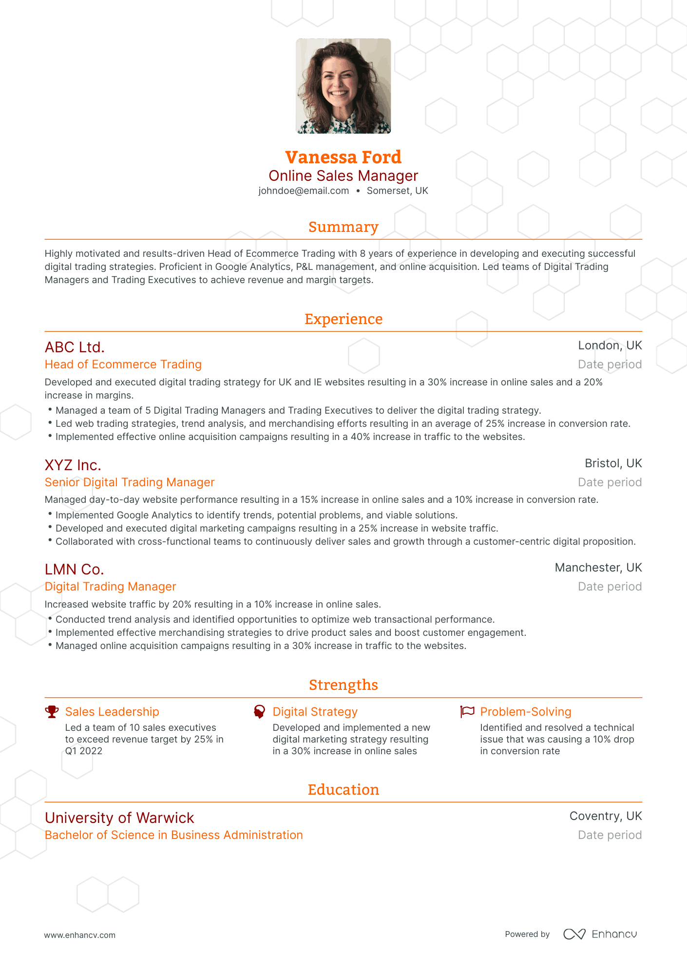 Traditional Online Sales Manager Resume Template