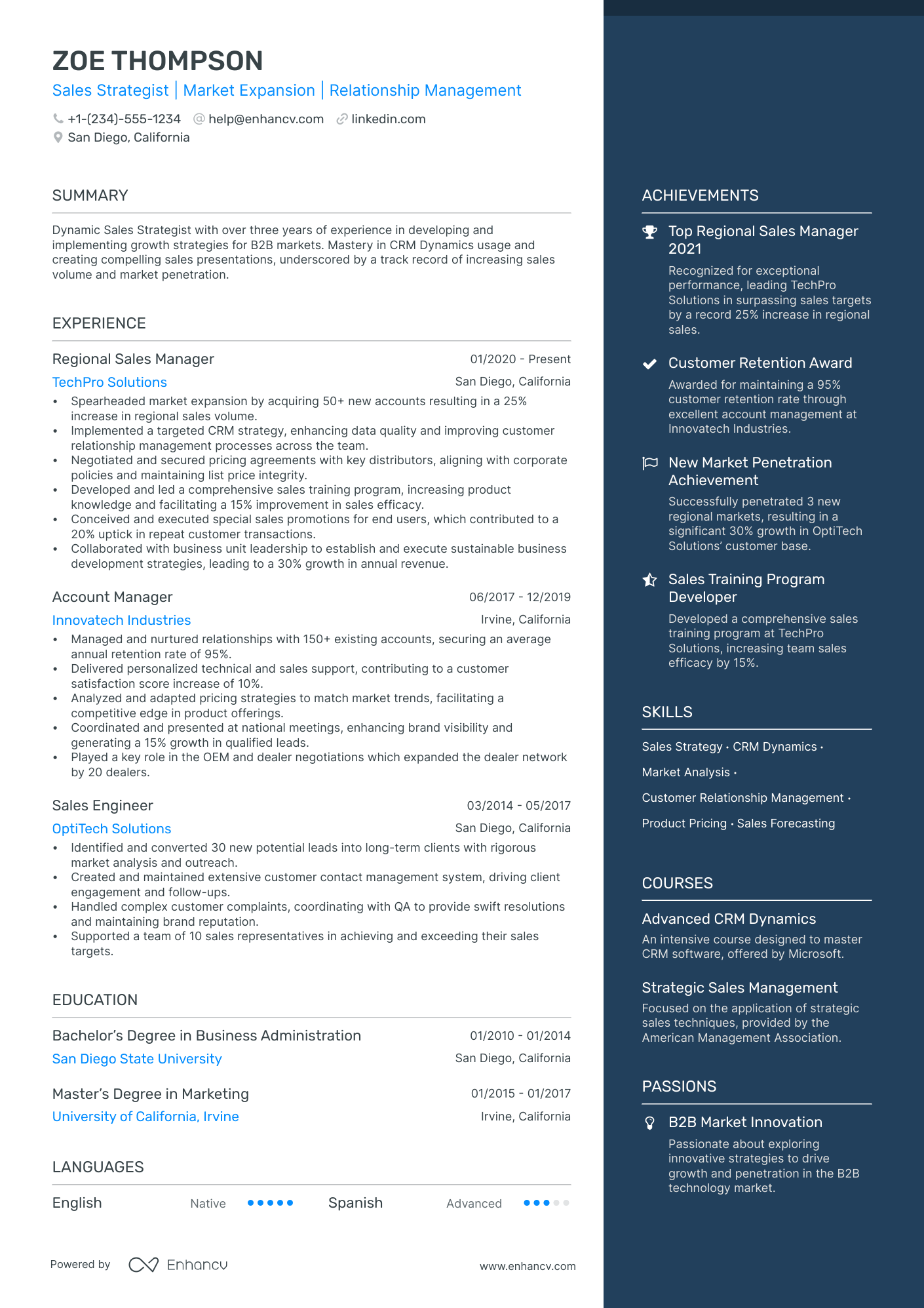 sales manager resume summary
