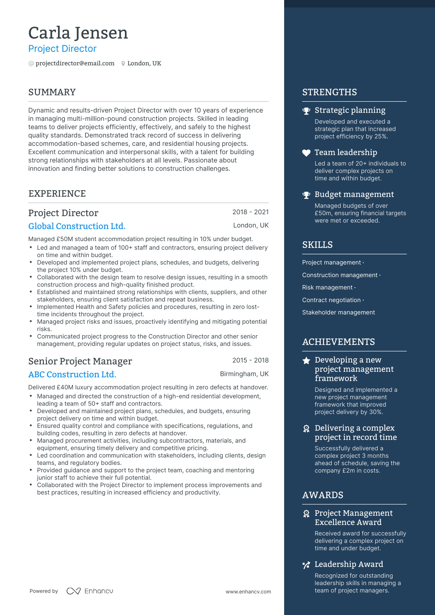 One Page Project Director Resume Template