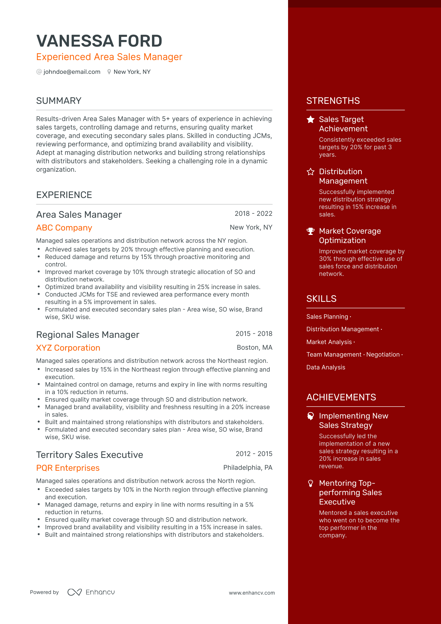 One Page Area Sales Manager Resume Template