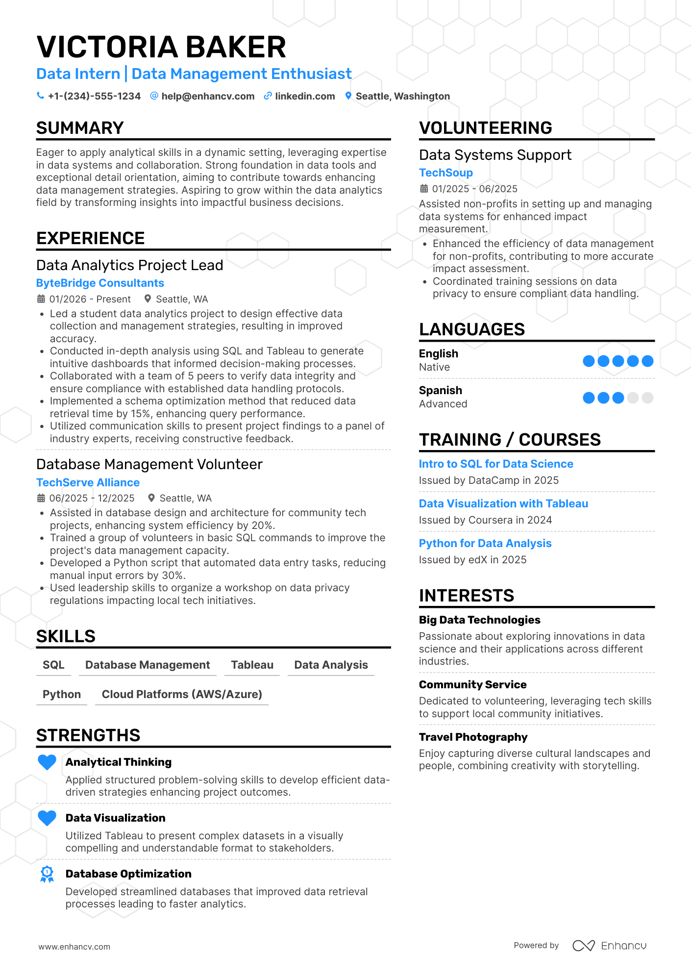 A resume example of a IT Data Management Intern