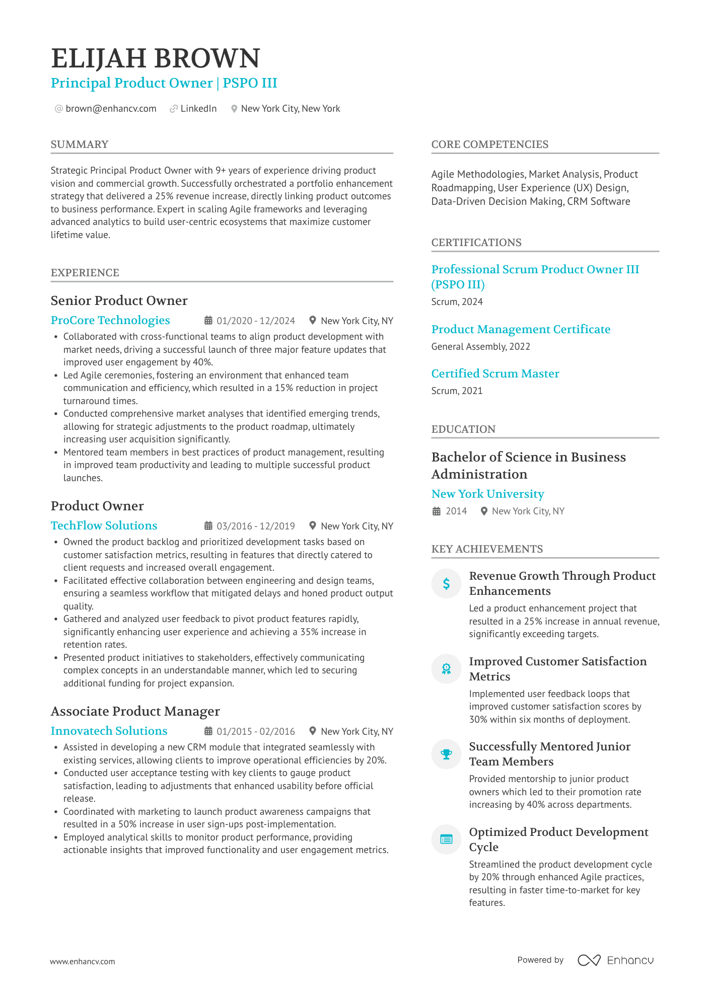 A resume example of a Principal Product Owner