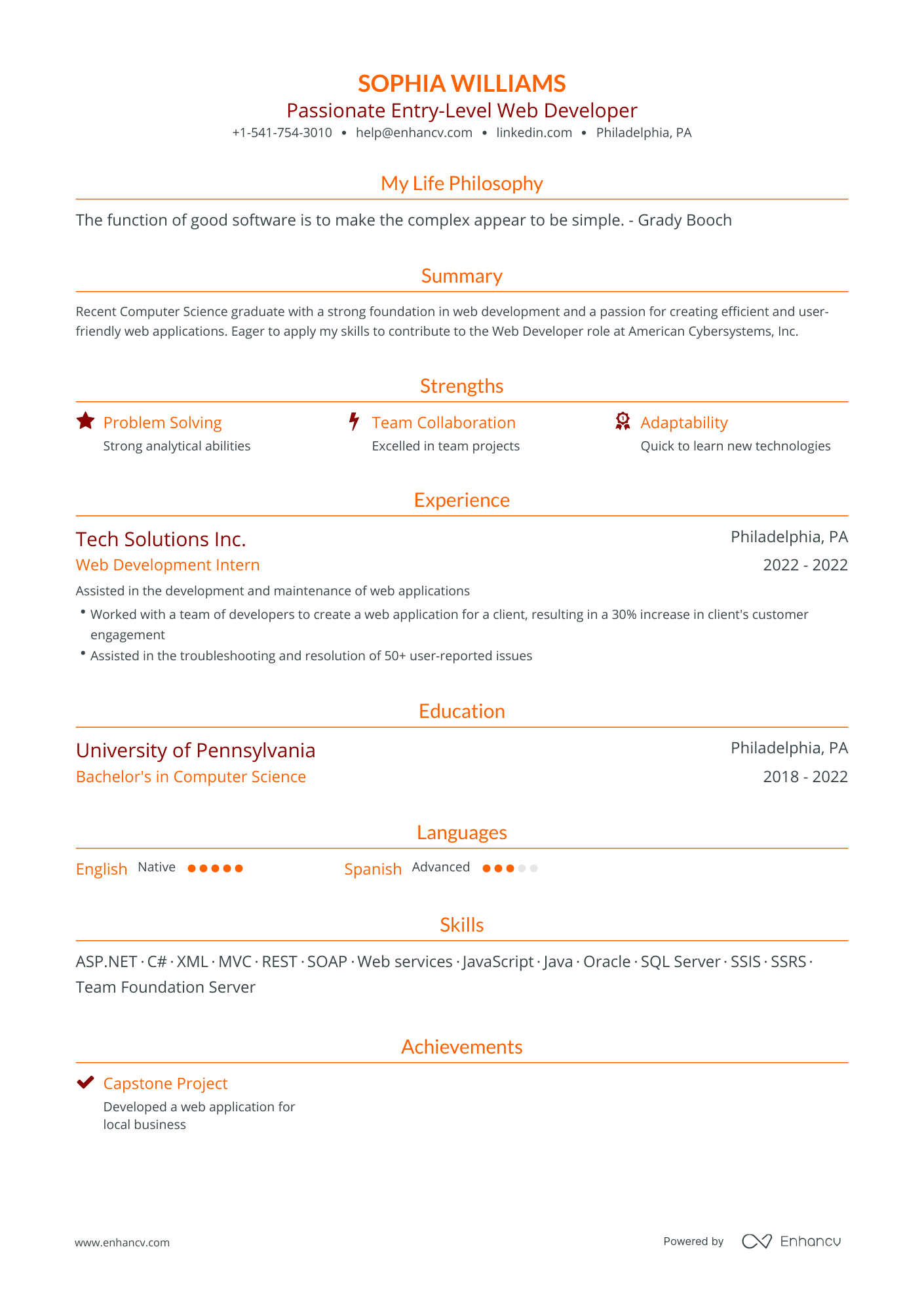 Traditional Entry Level It Resume Template