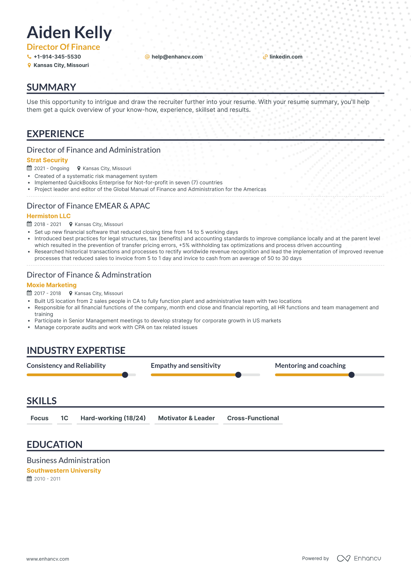 Classic Director of Finance Resume Template