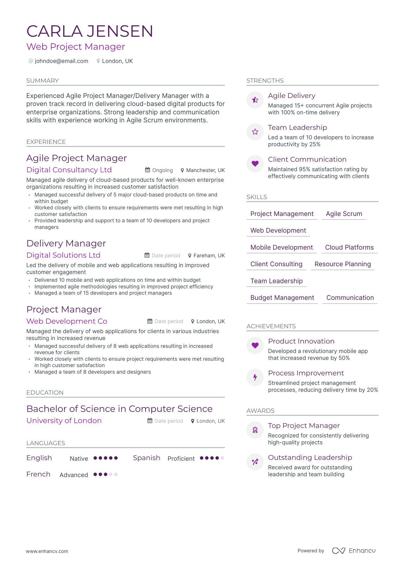 Modern Web Project Manager Resume Template