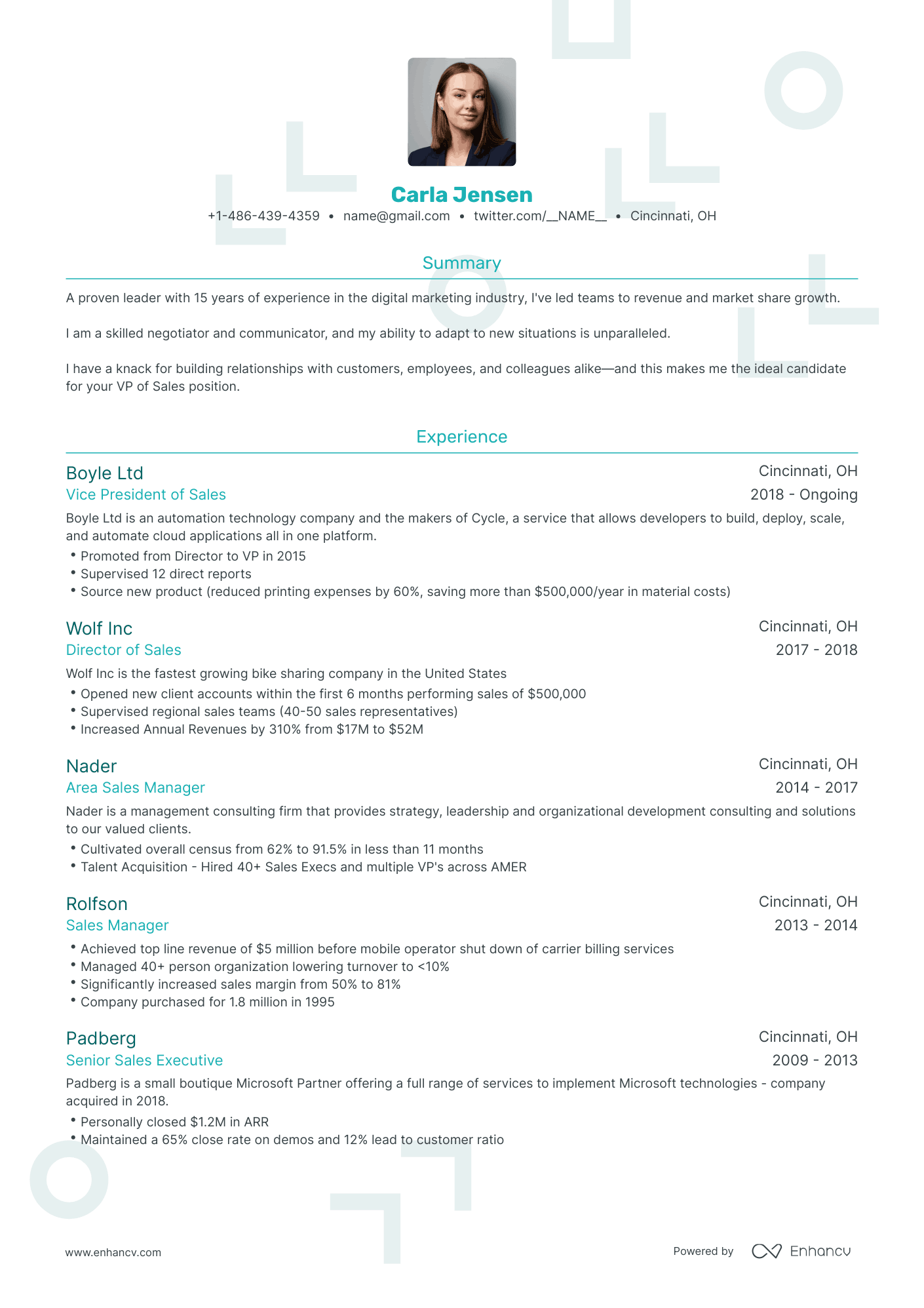 Traditional VP of Sales Resume Template