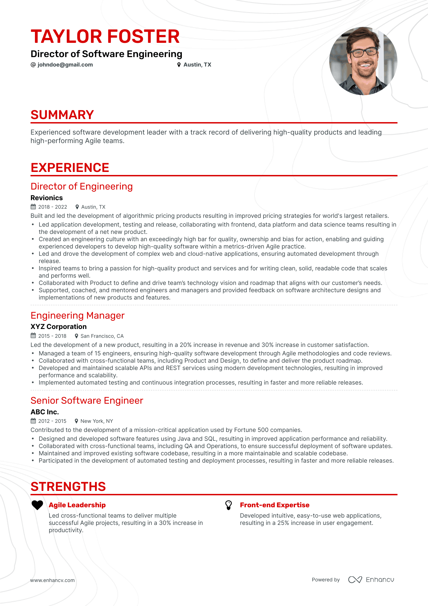 Classic Director of Software Engineering Resume Template