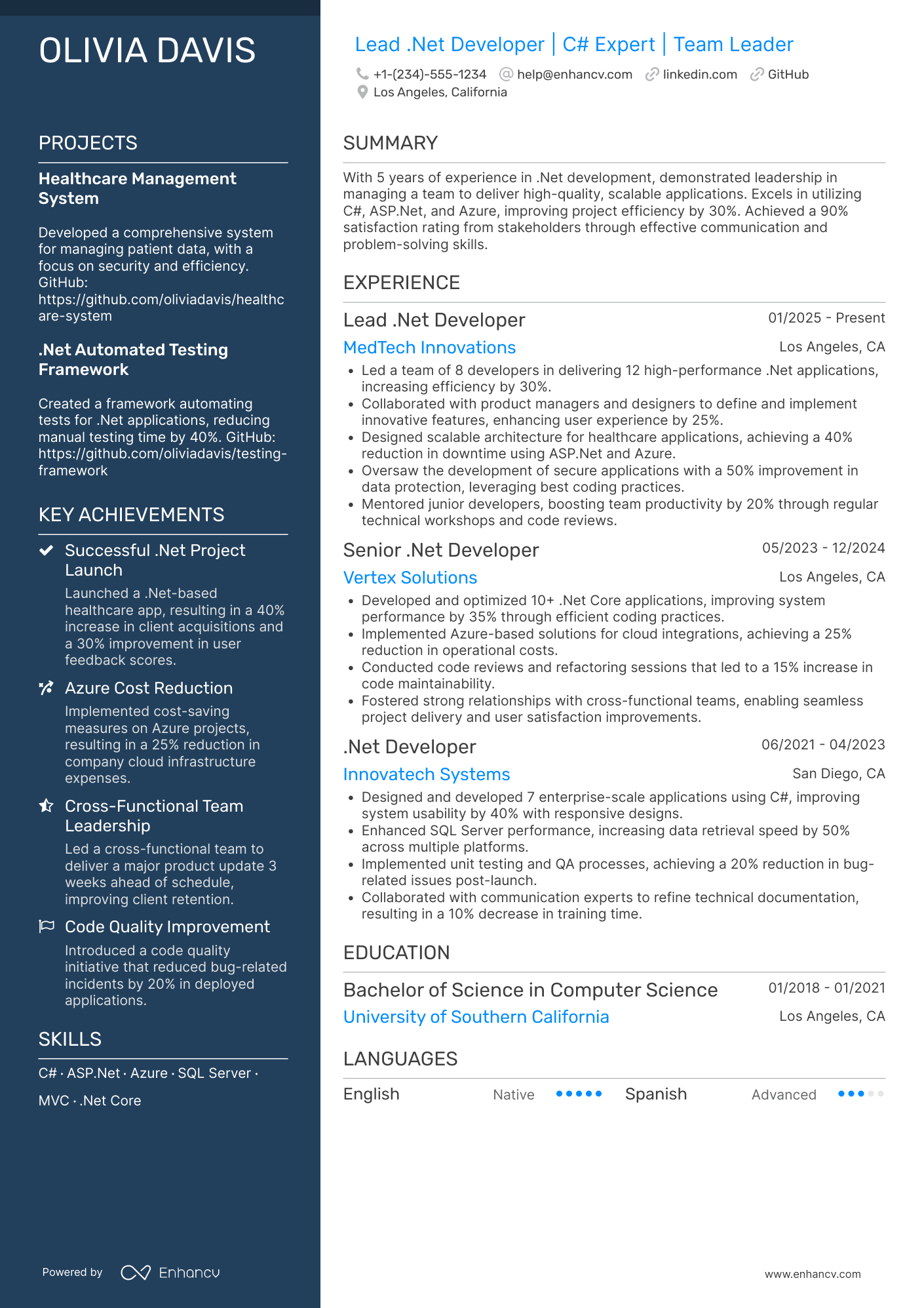 A resume example of a Lead .Net Developer