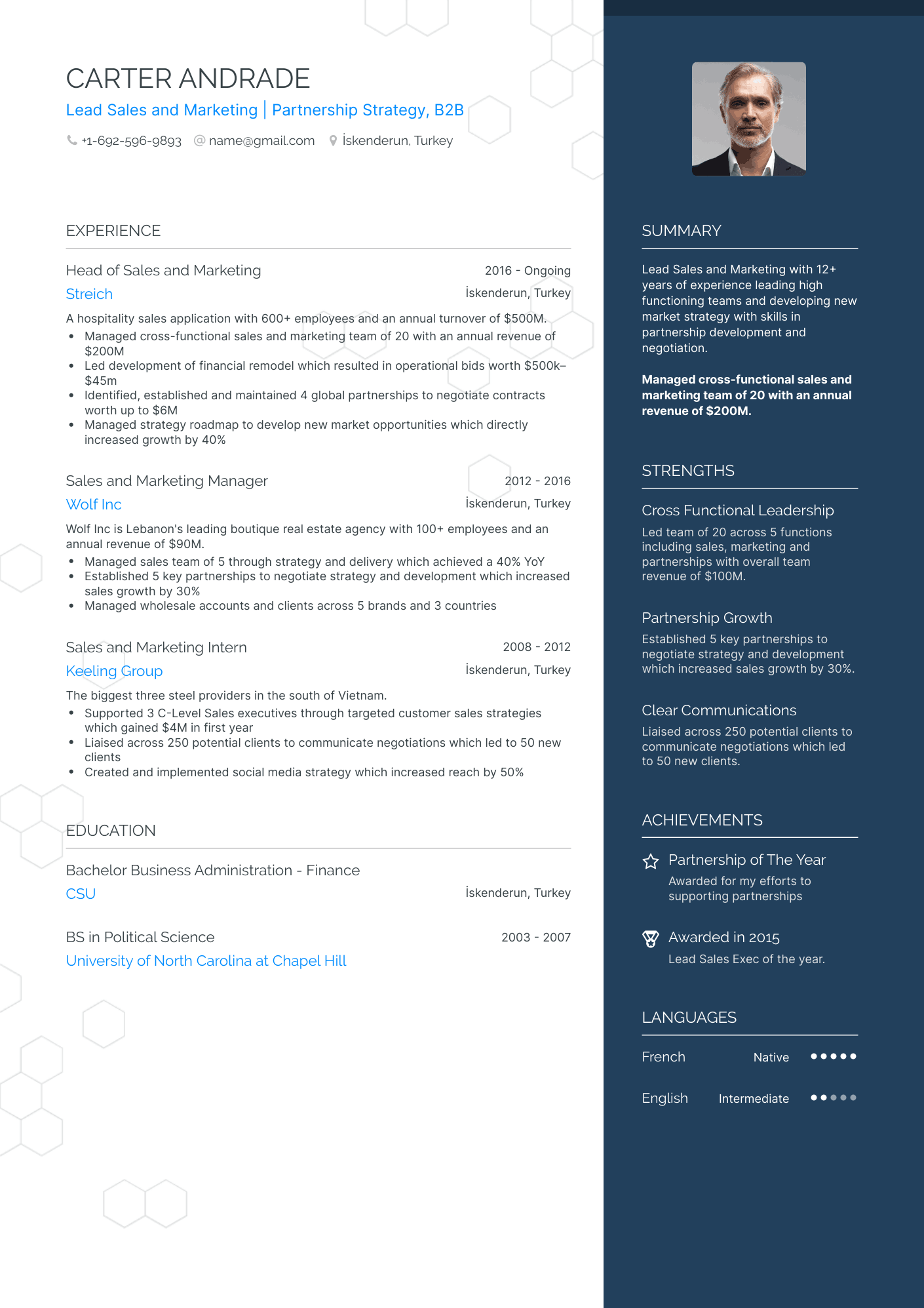 One Page Sales And Marketing Resume Template