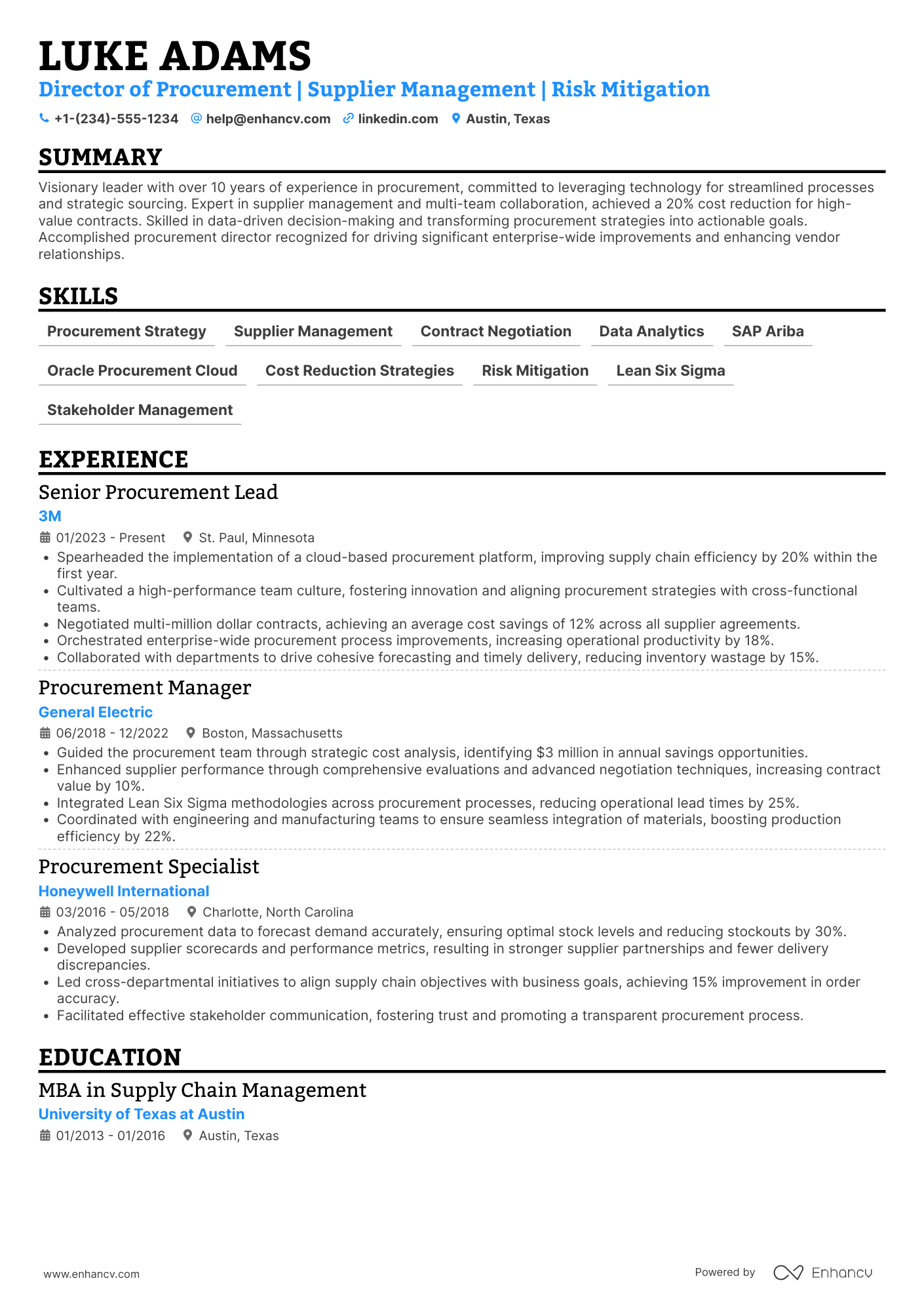 A resume example of a Director of Procurement