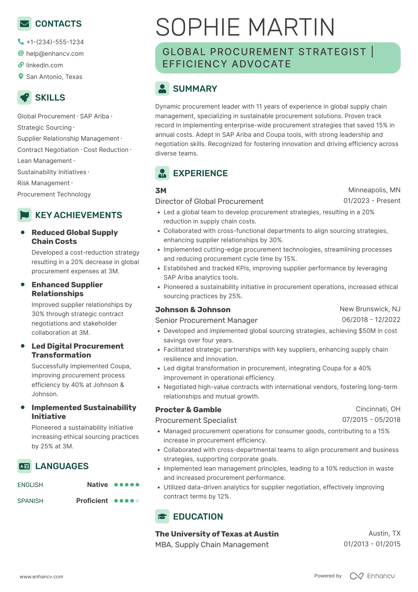 A resume example of a Global Chief Procurement Officer