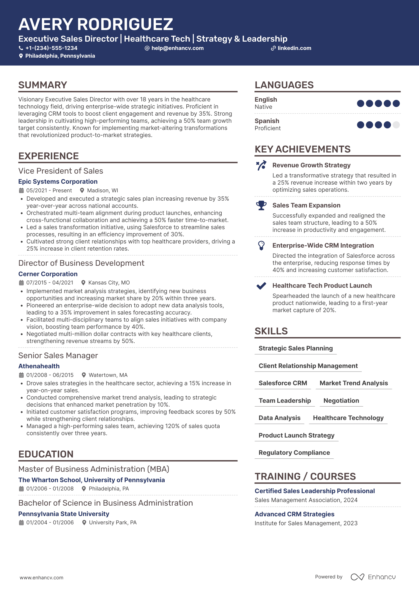 A resume example of a Executive Sales Director