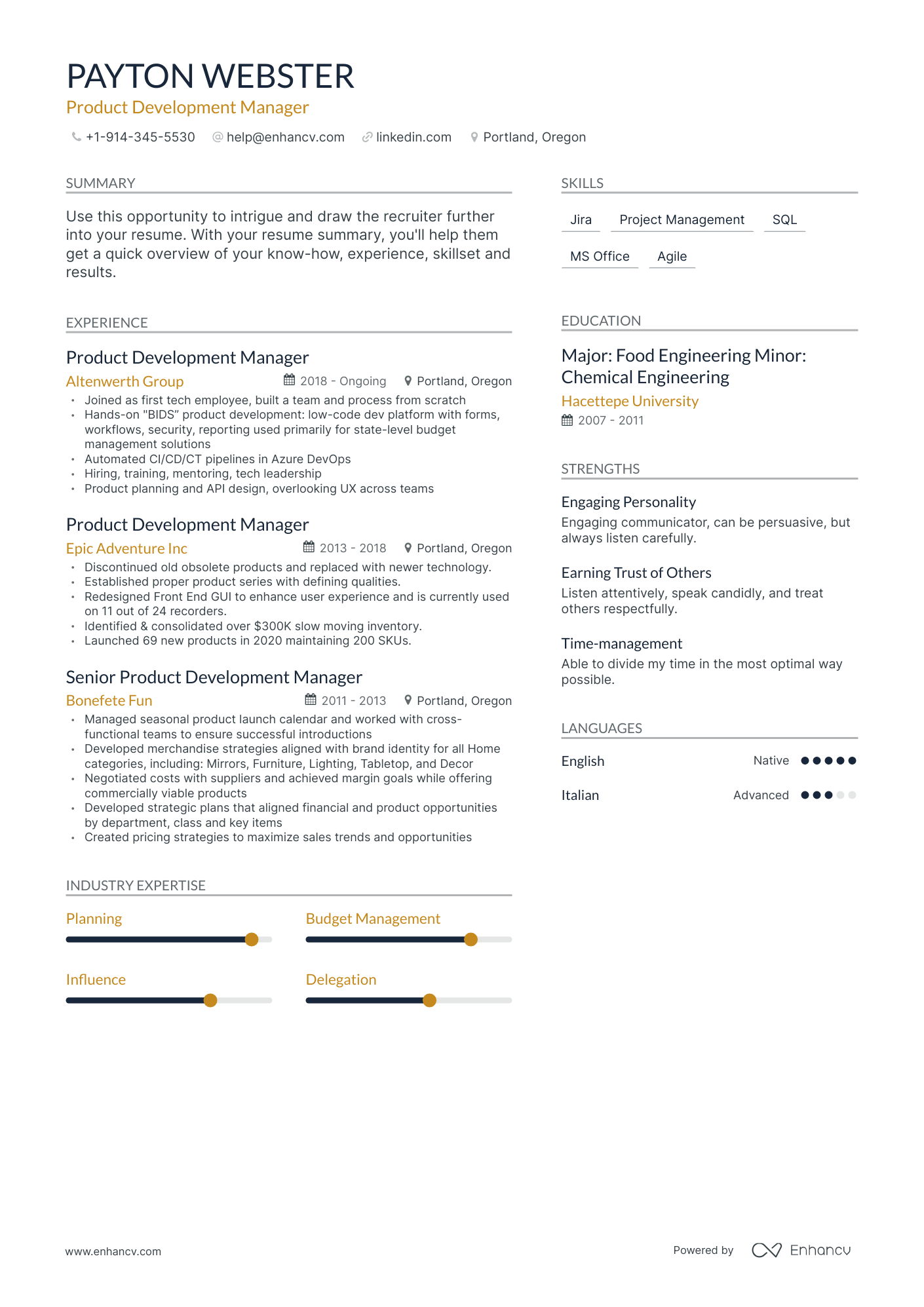 Modern Product Development Manager Resume Template