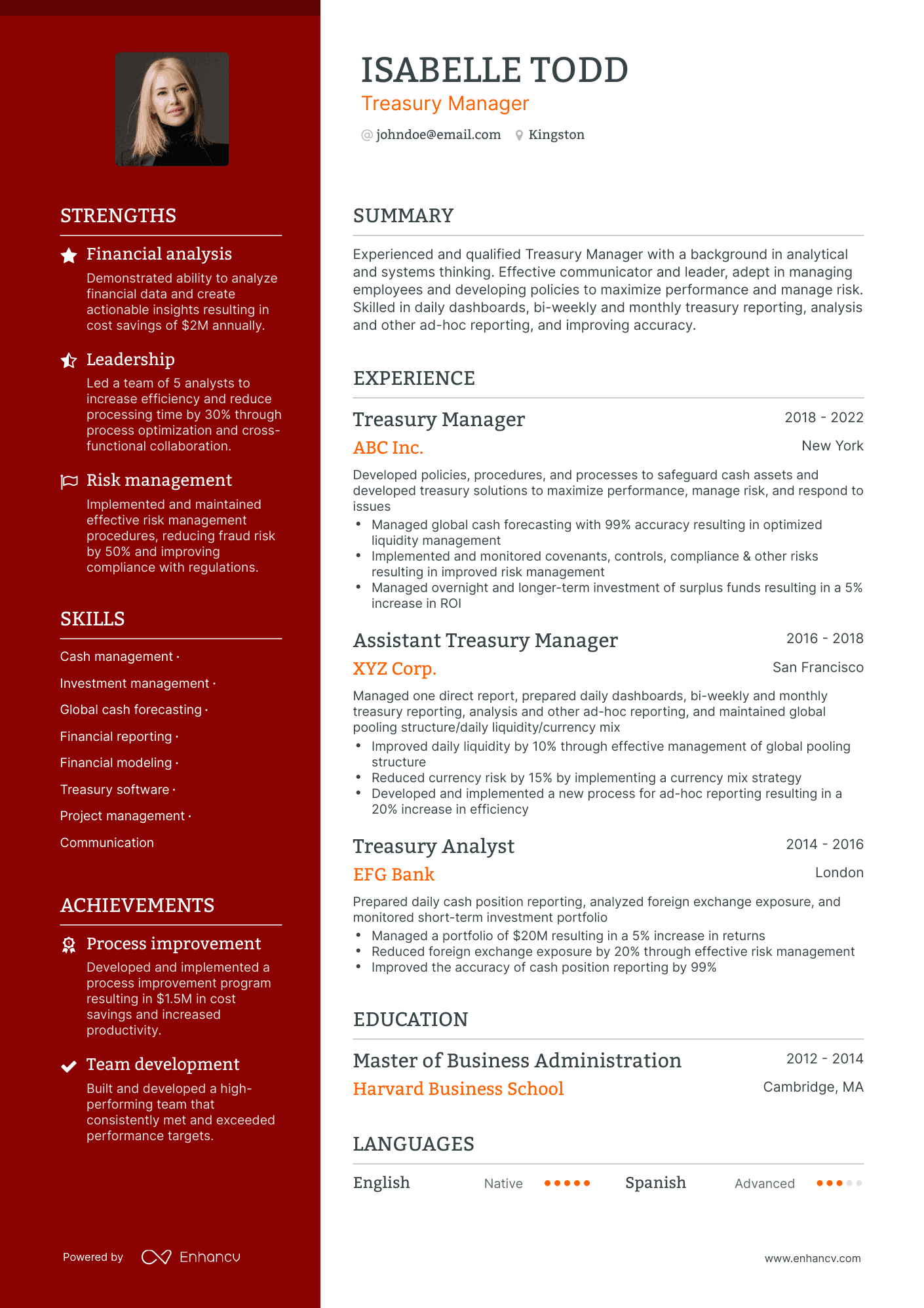 Polished Treasury Manager Resume Template