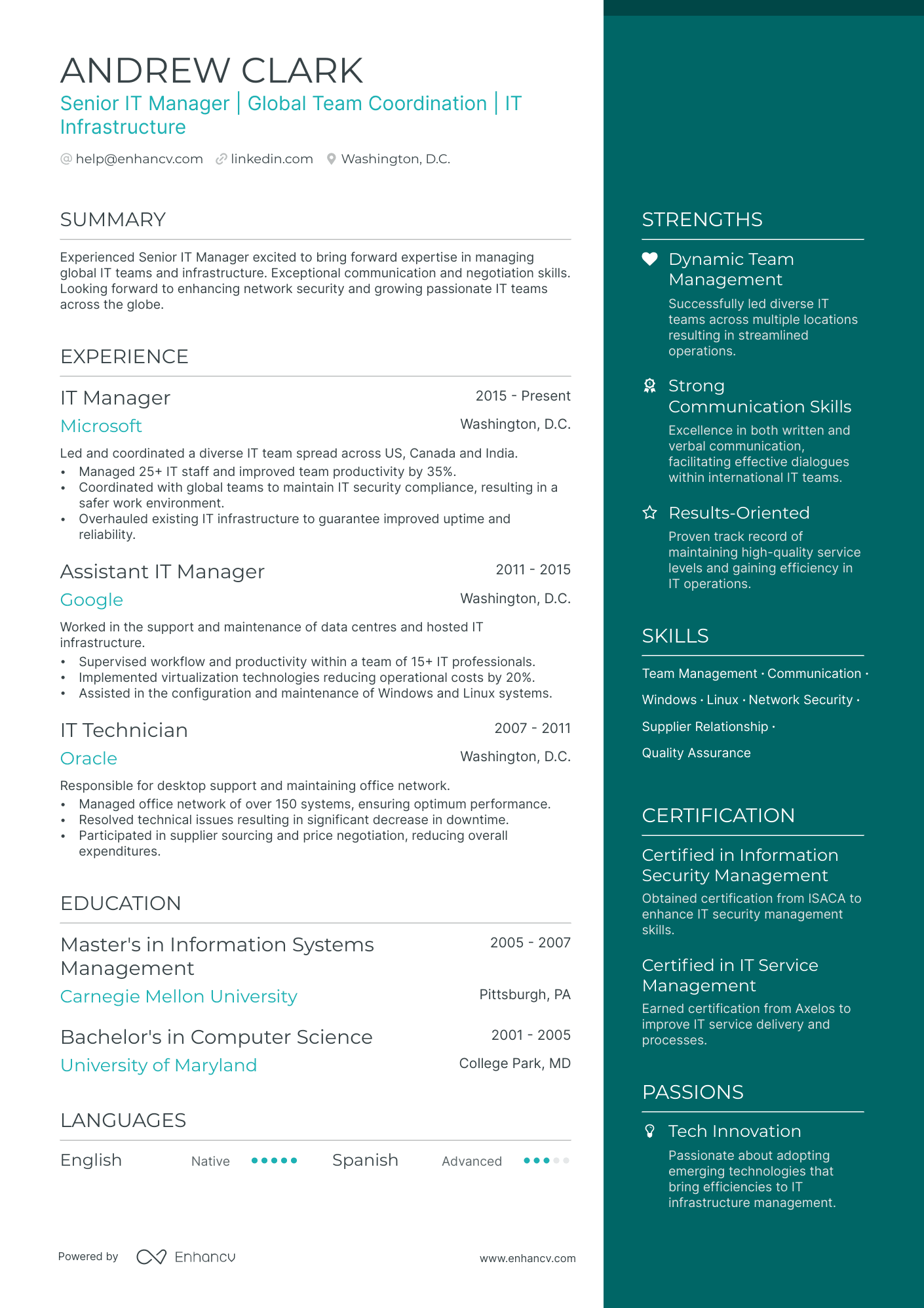 it project manager resume summary