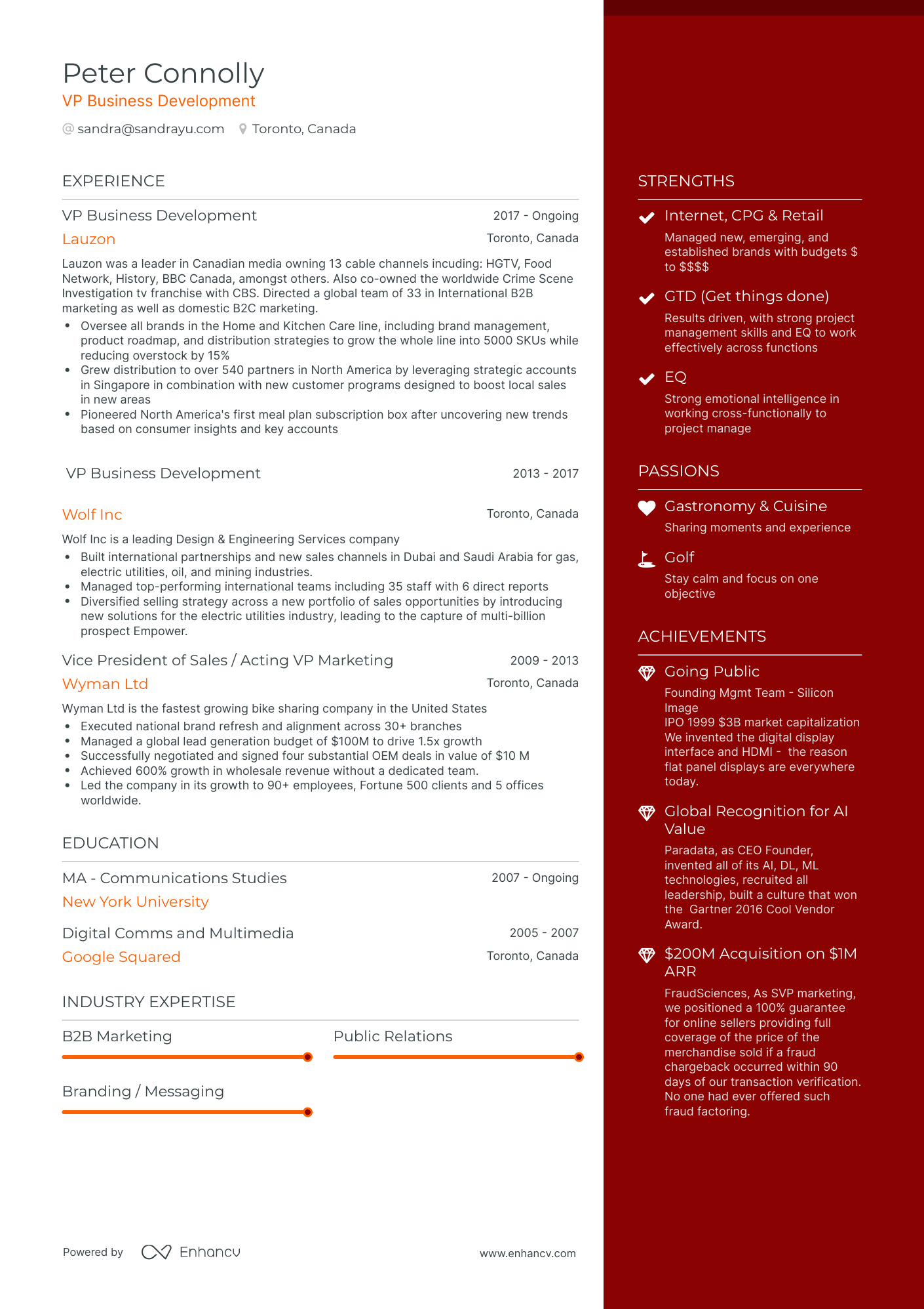 One Page VP Business Development Resume Template