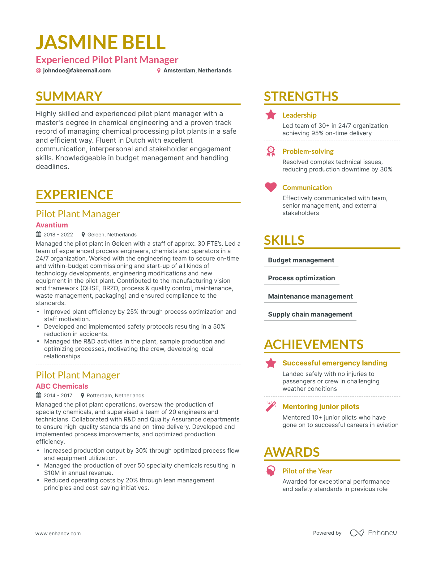Simple Commercial Pilot Resume Template