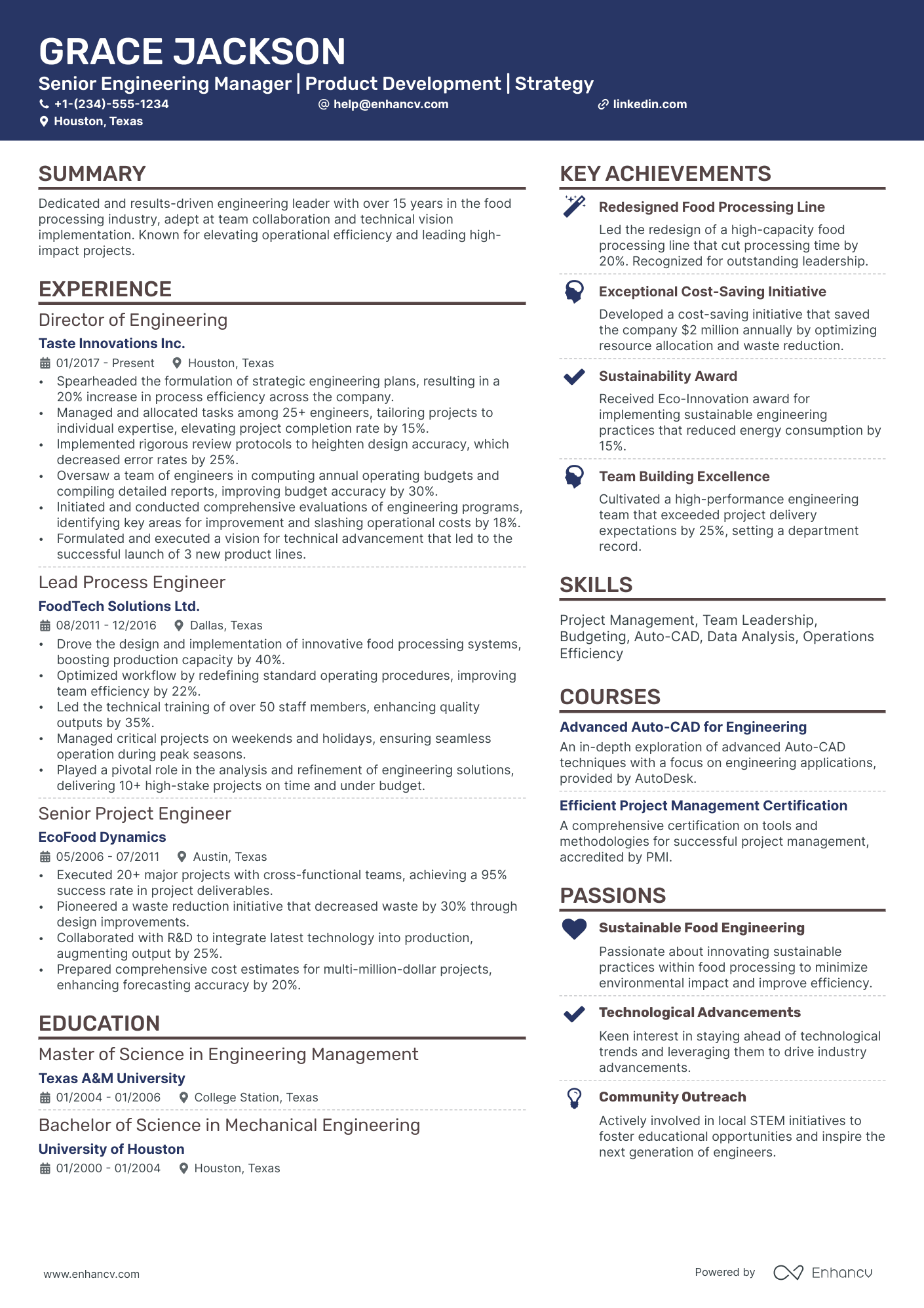 sample resume for director software engineering