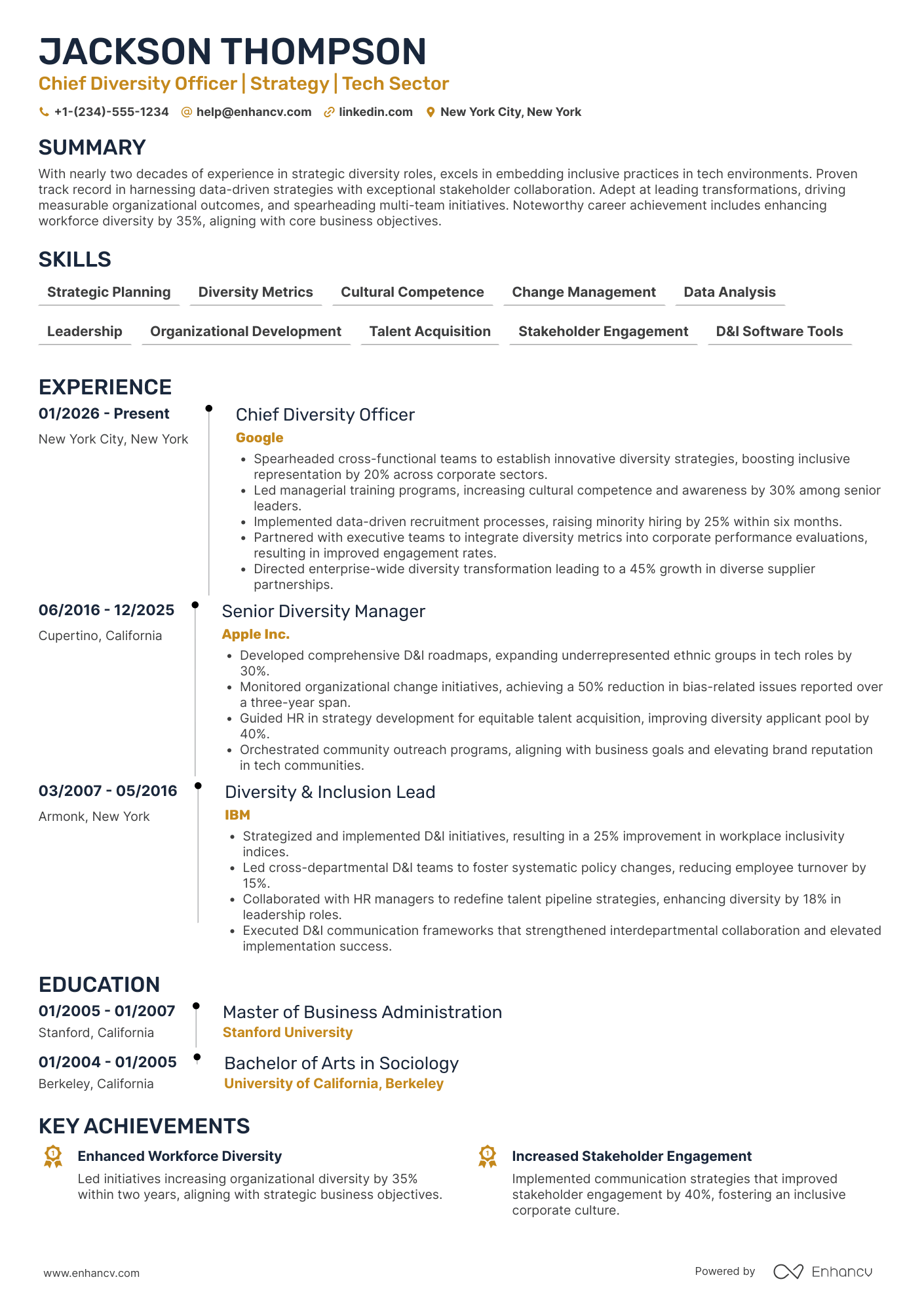A resume example of a Associate Chief Diversity Officer