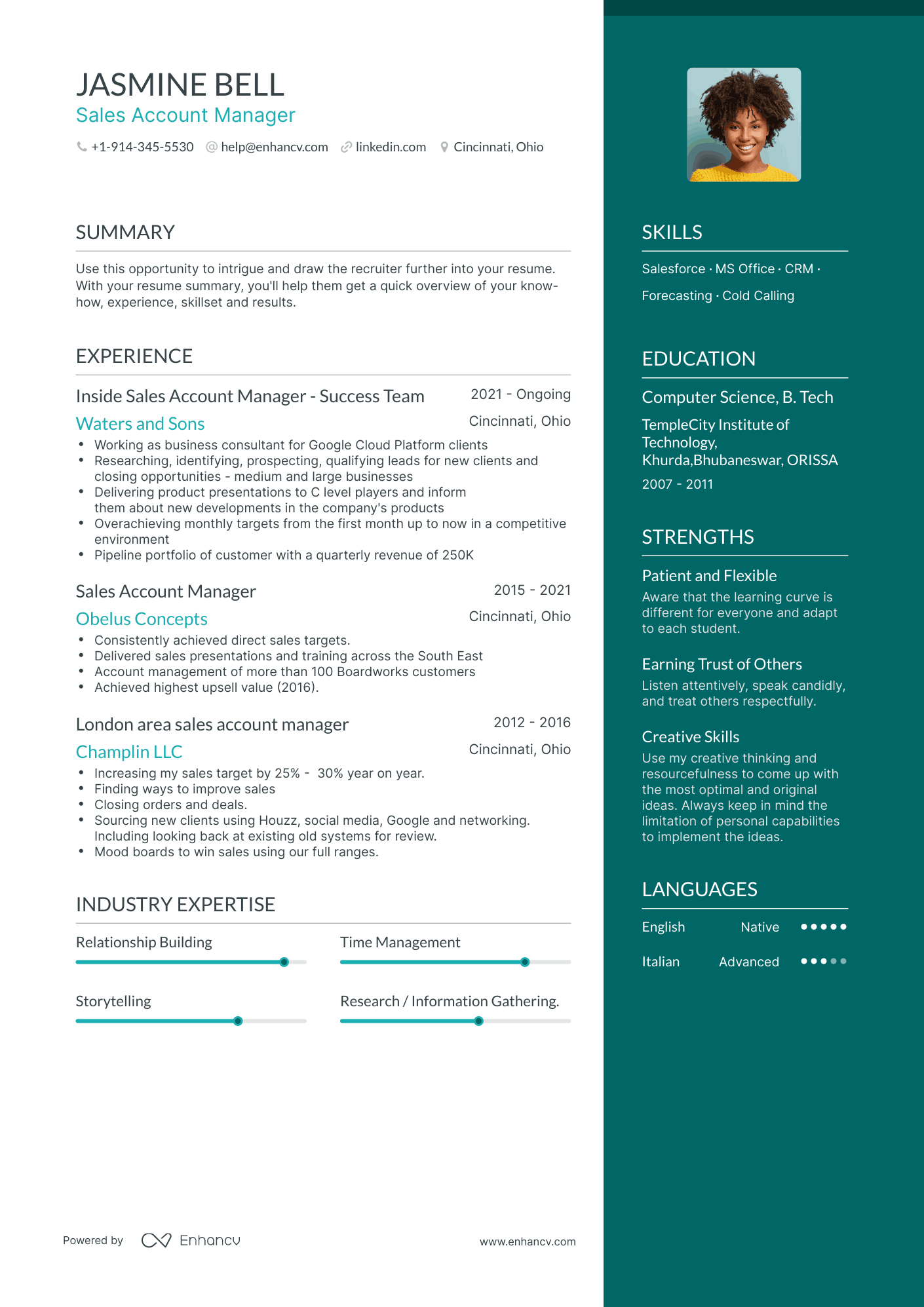 Sales Account Manager Resume Examples & Guide For 2023 (layout, Skills 