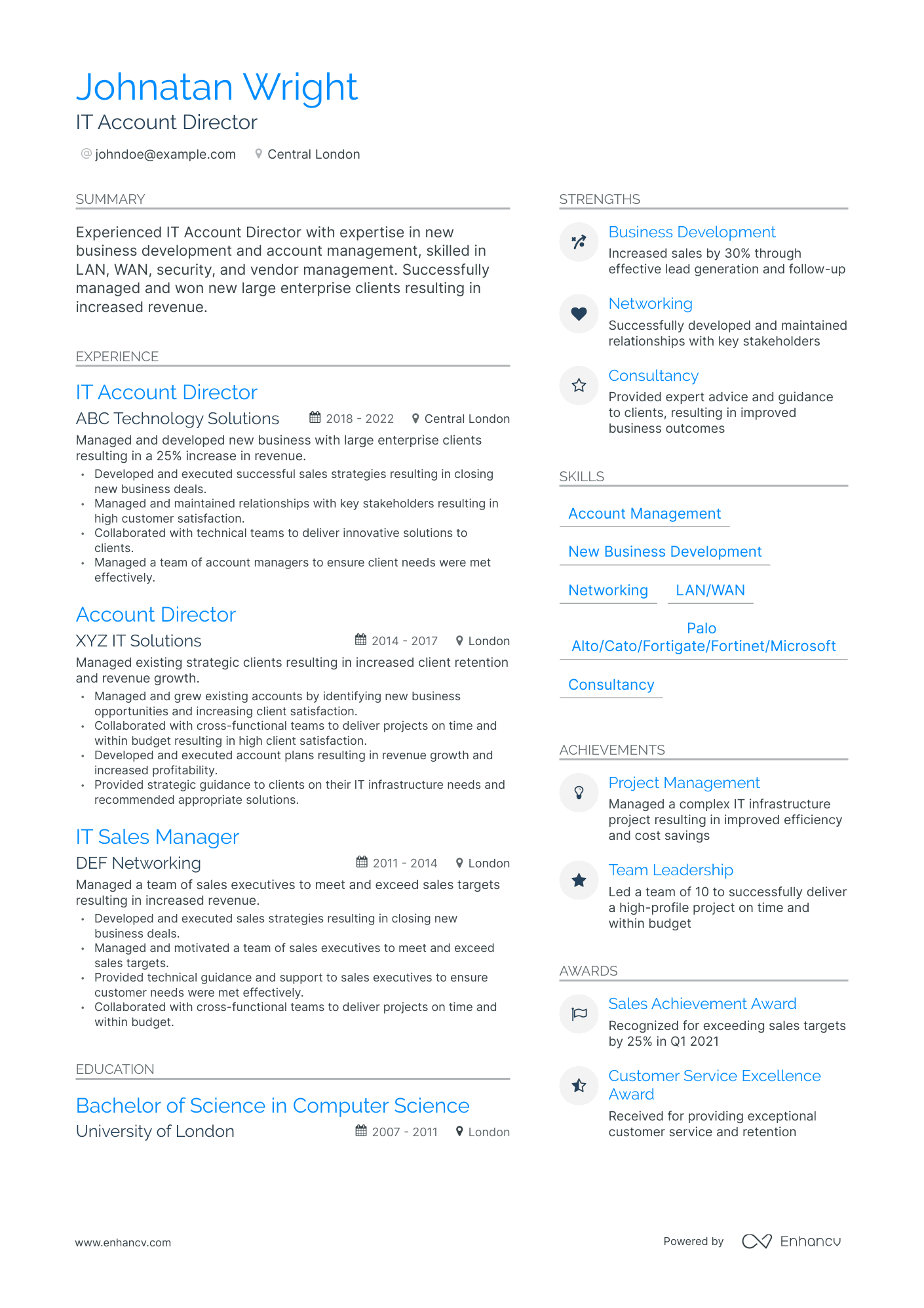 Modern Account Director Resume Template