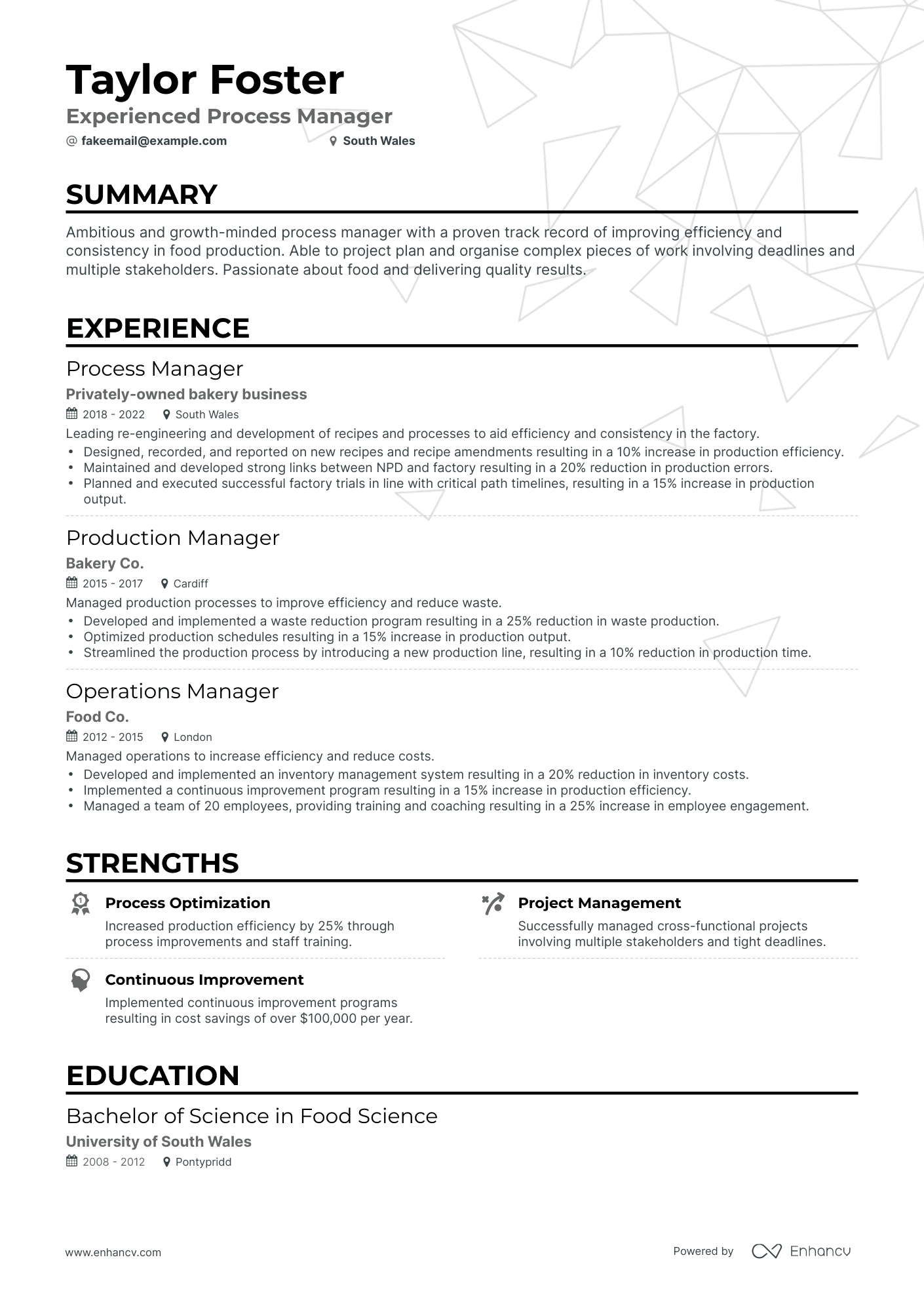 Classic Process Manager Resume Template