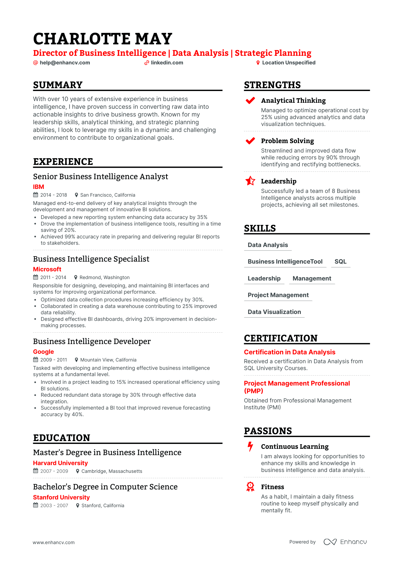 undefined Business intelligence director Resume Template