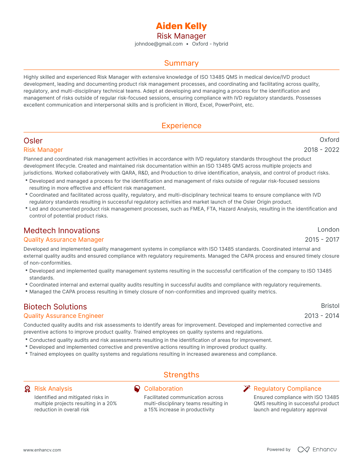 Traditional Risk Manager Resume Template