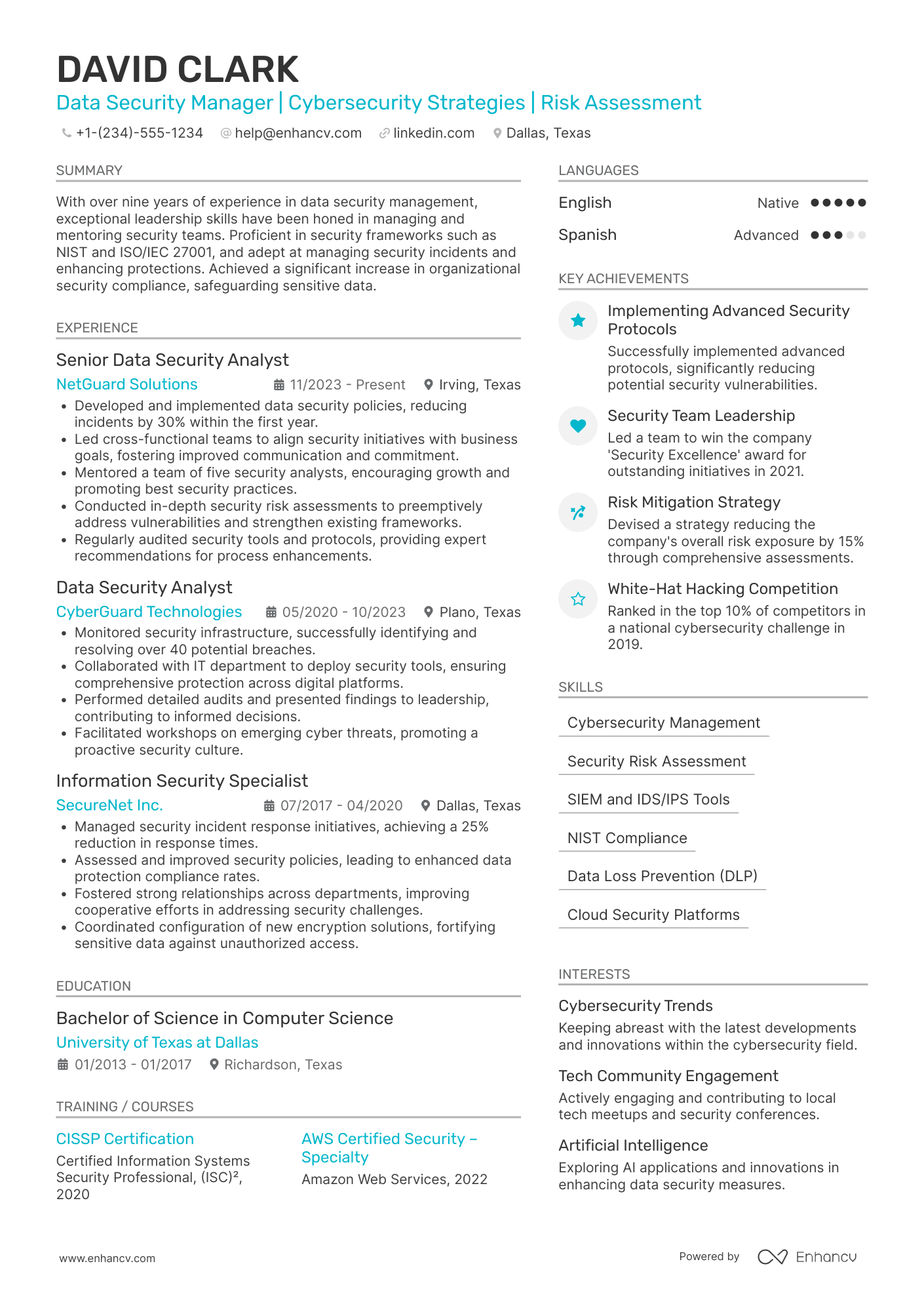 A resume example of a Data Security Manager