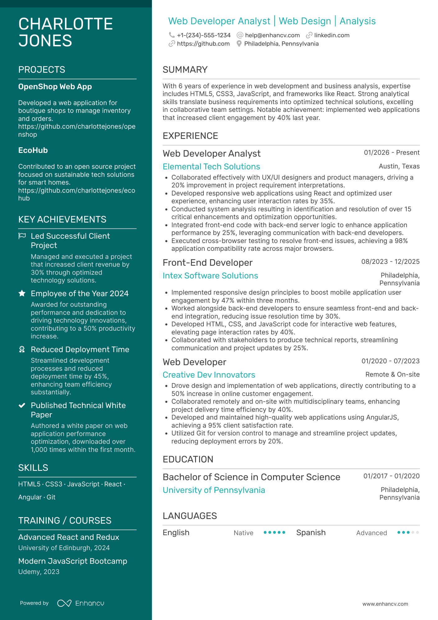 A resume example of a Web Developer Analyst