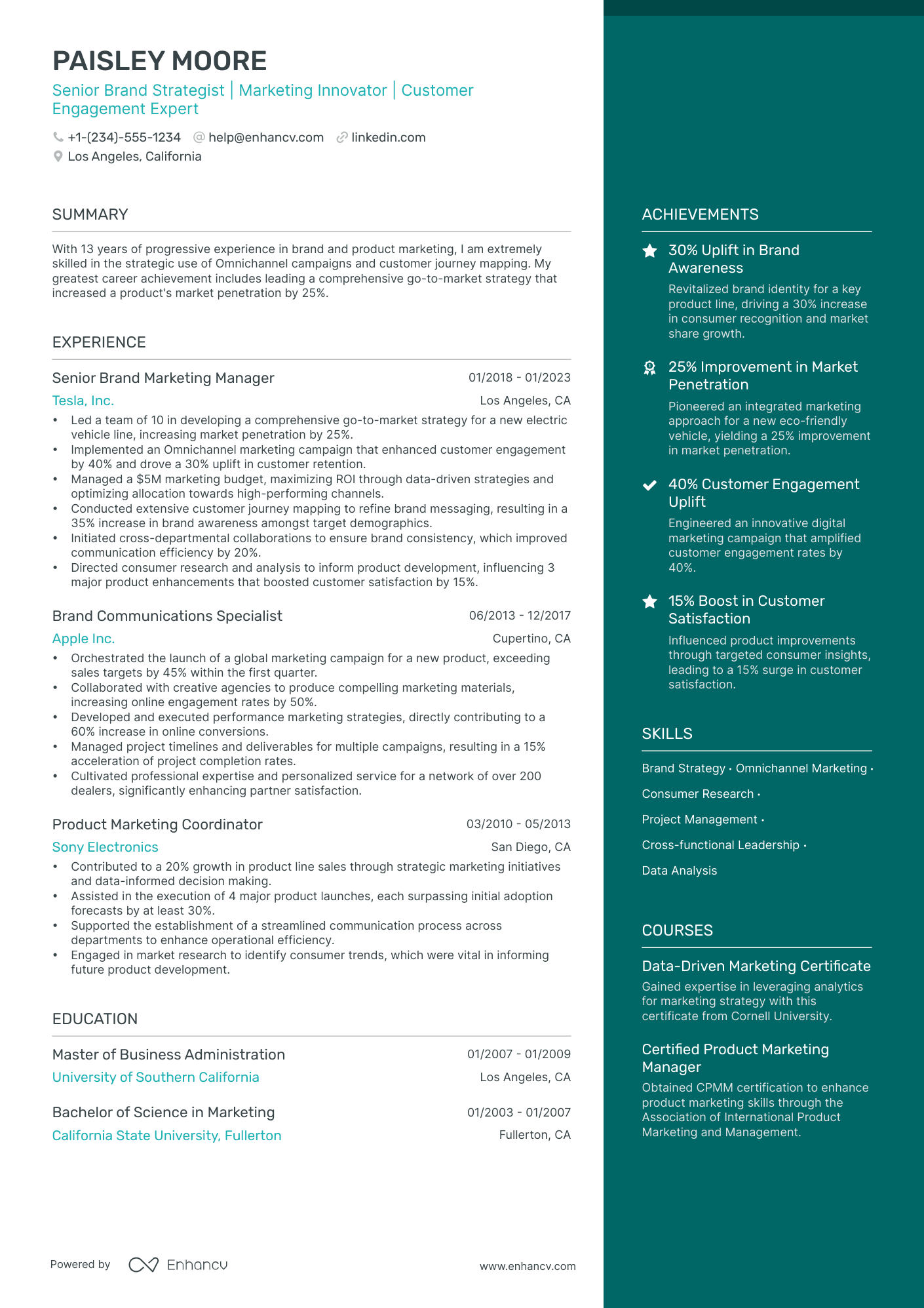 brand manager resume summary examples