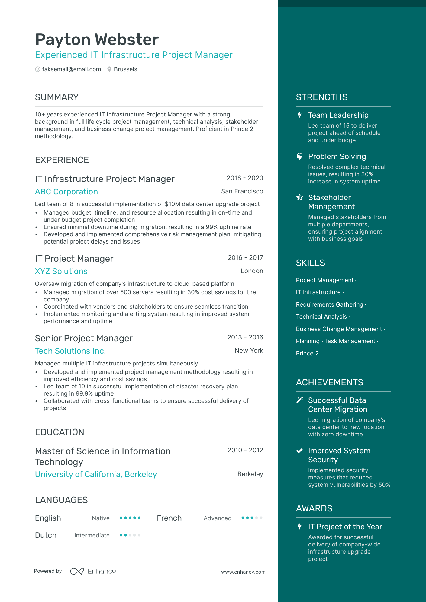 it project manager resume summary