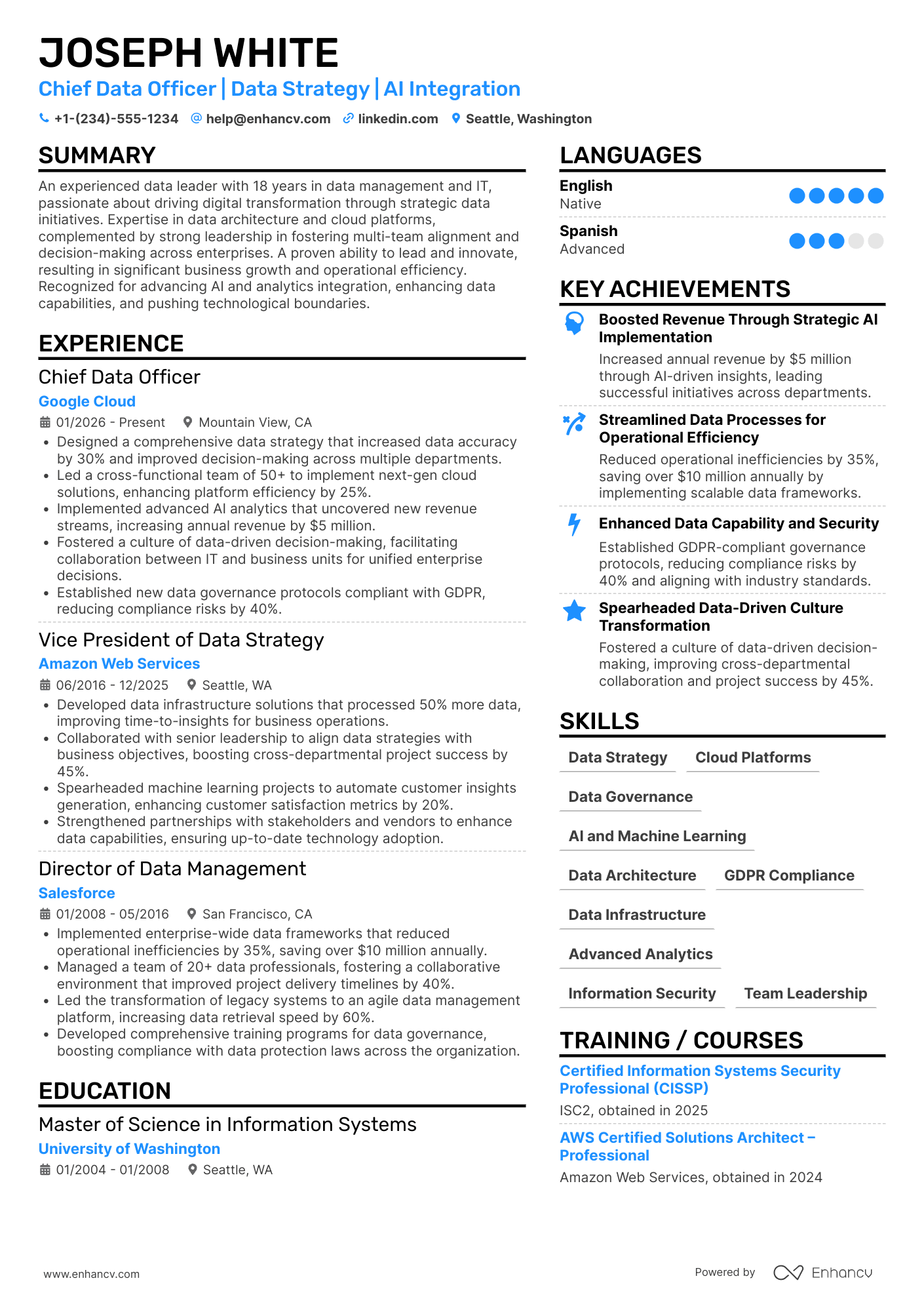 A resume example of a Chief Data and Information Officer